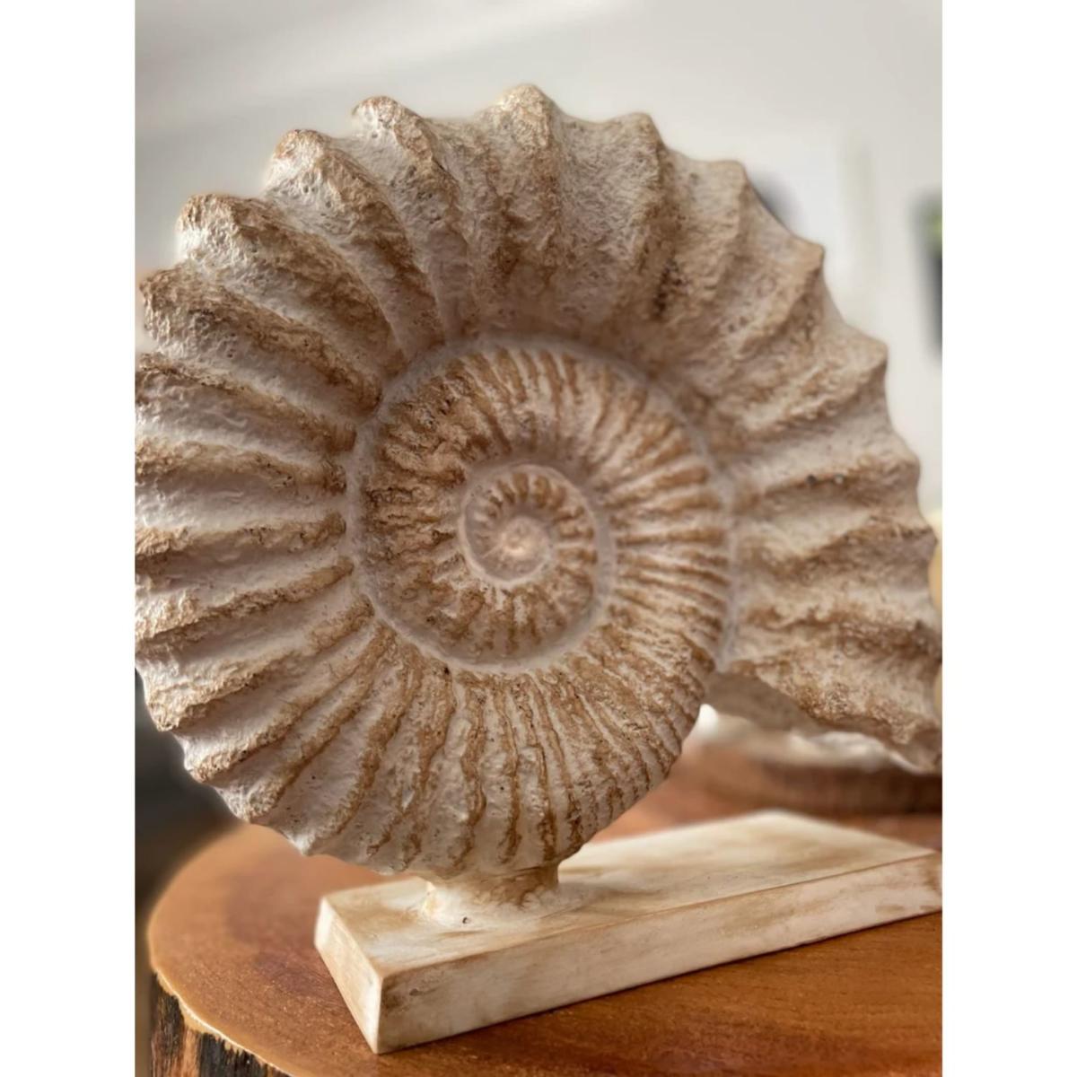 White Shell Design Sculpture Artchi – image 2