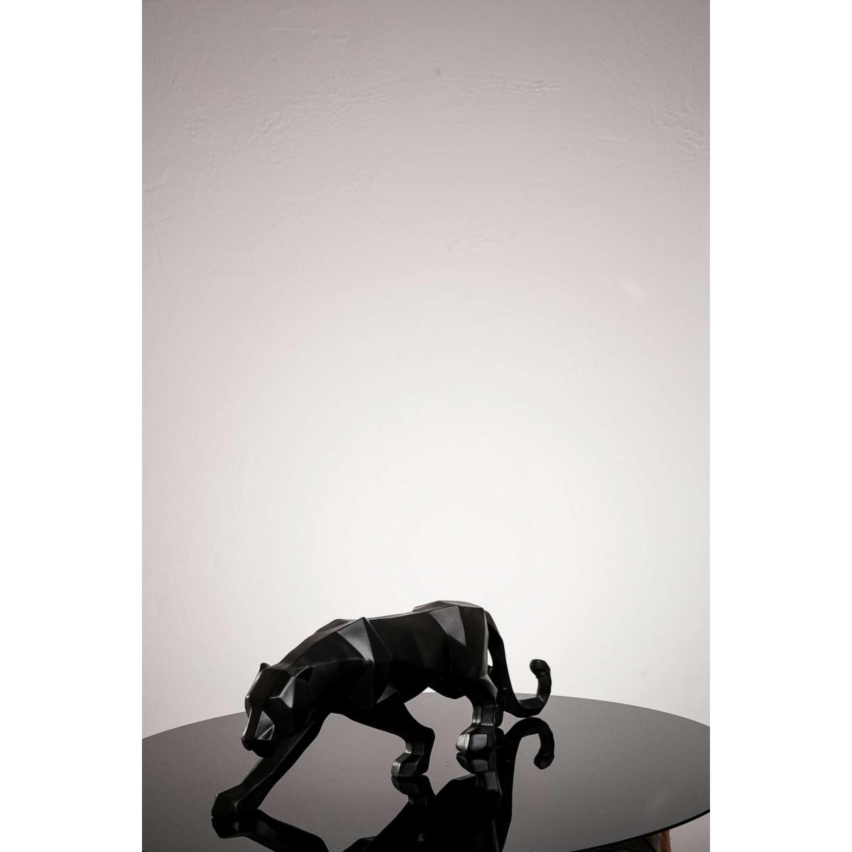 Black Tiger One Size Artchi – image 3