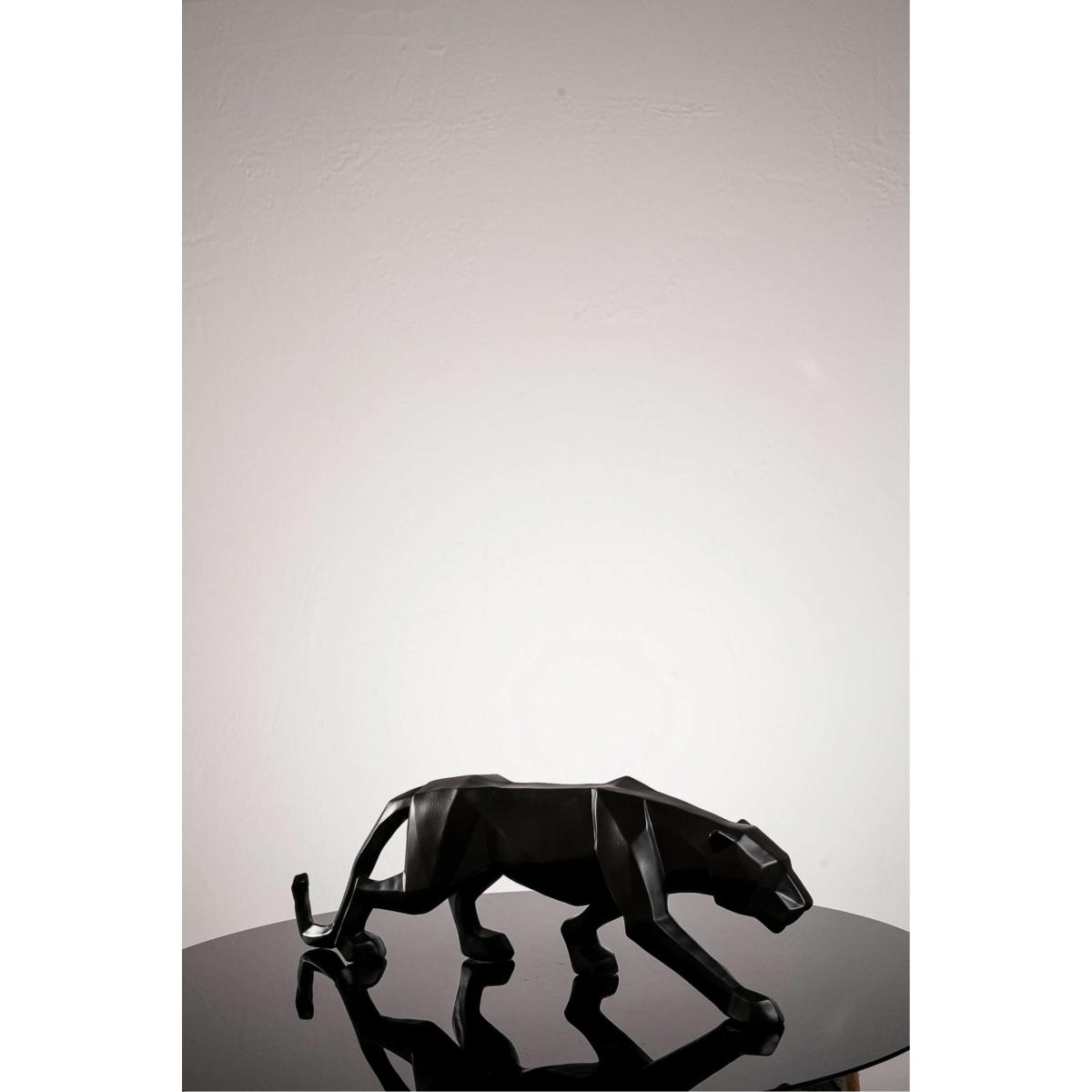 Black Tiger One Size Artchi – image 4