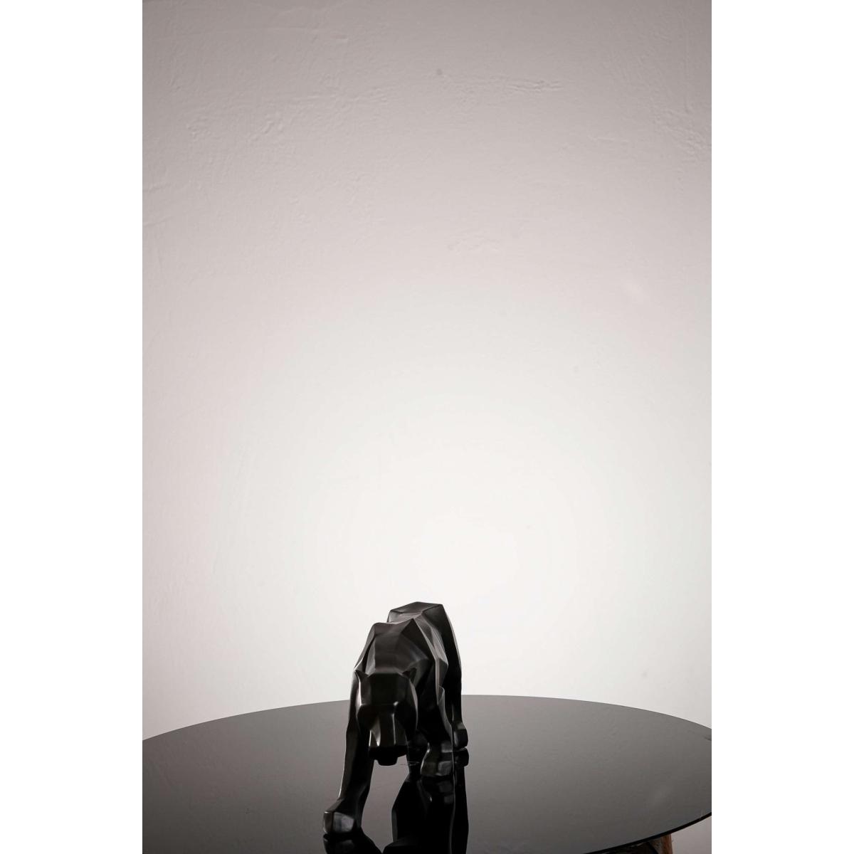 Black Tiger One Size Artchi – image 5