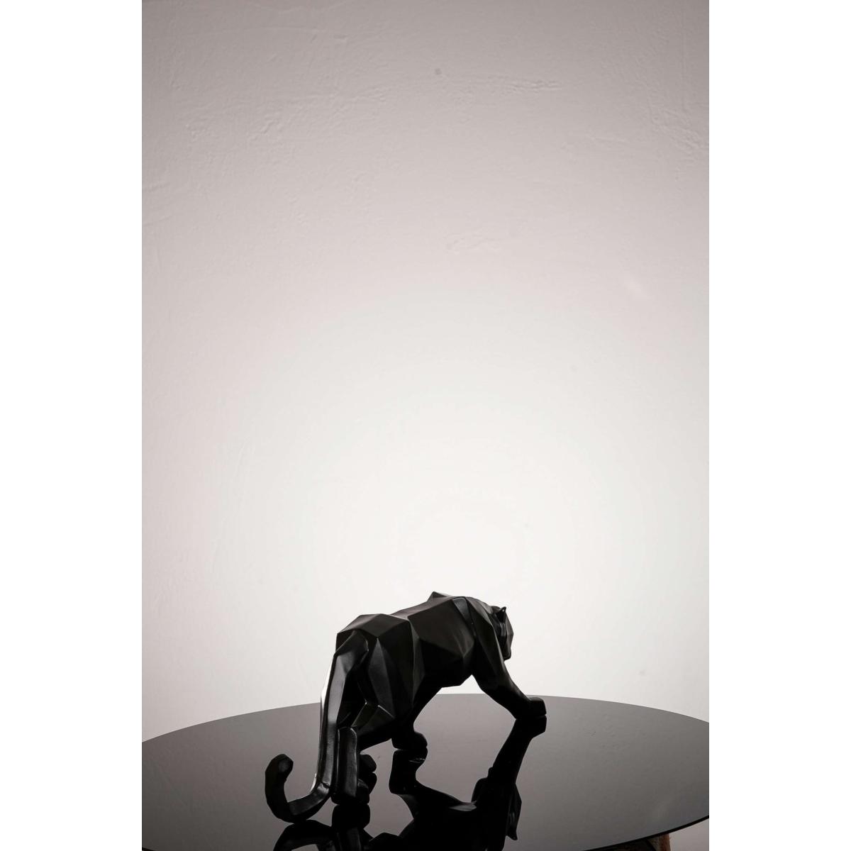 Black Tiger One Size Artchi – image 6