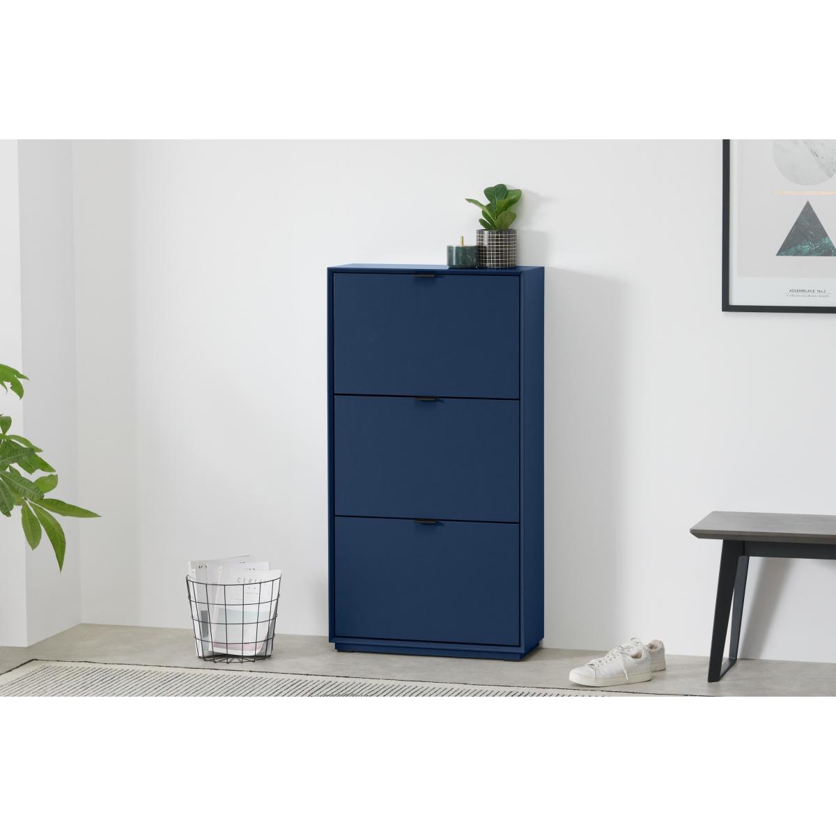 Marcell Double Shoe Storage Cabinet, Deep Blue – image 4