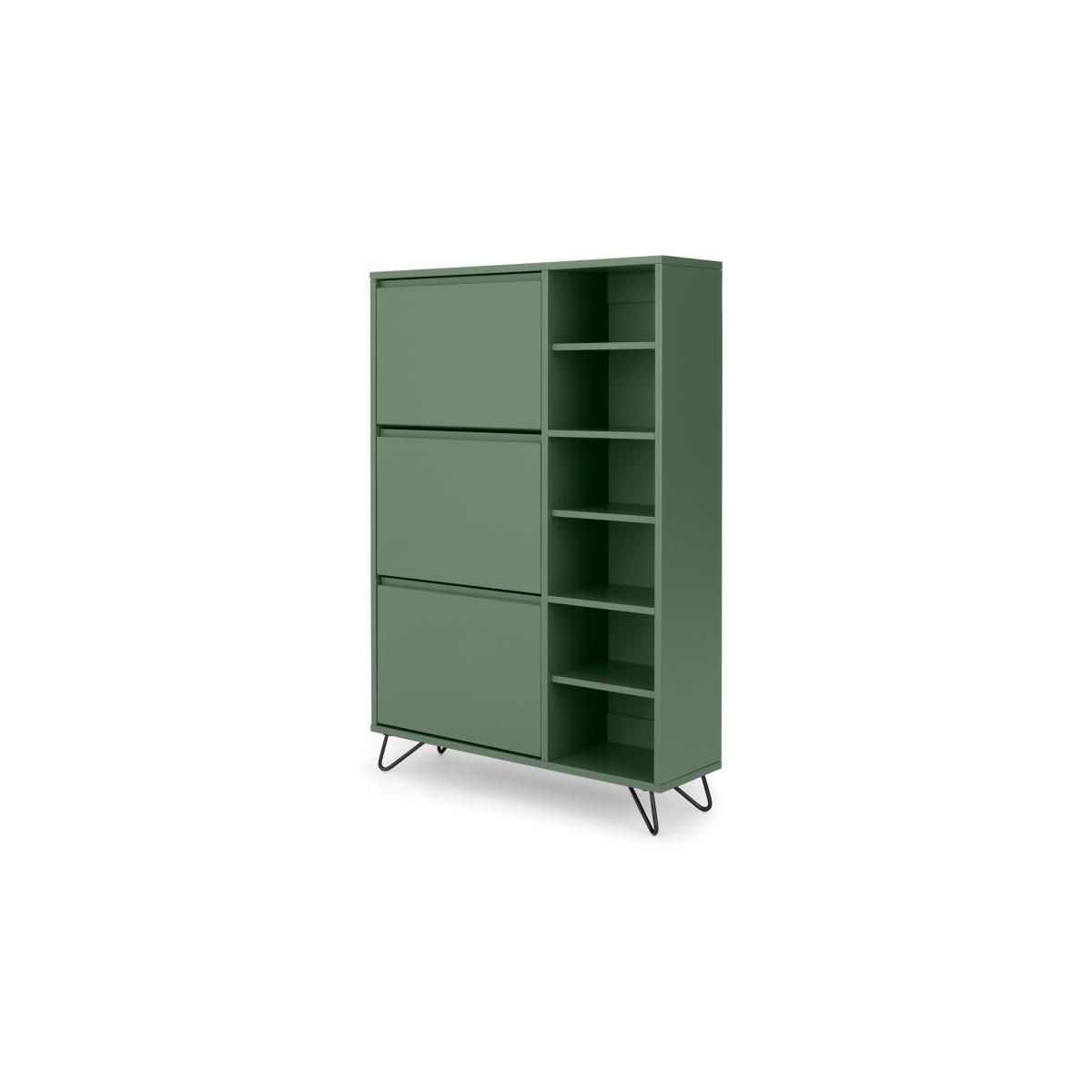 Elona Double Shoe Storage, Fern Green & Black – image 3