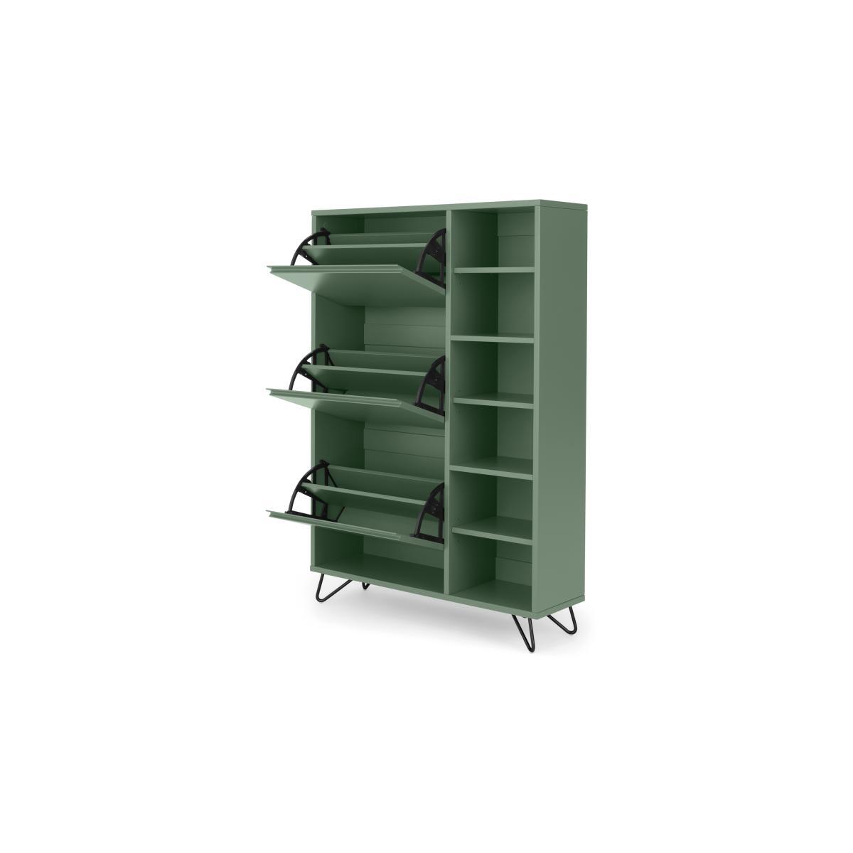 Elona Double Shoe Storage, Fern Green & Black – image 6
