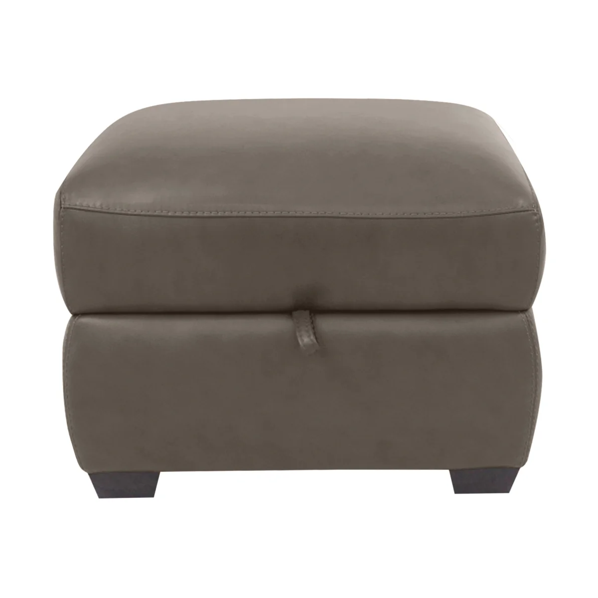 World of Leather - Cozee Leather Storage Stool - Elephant – image 1