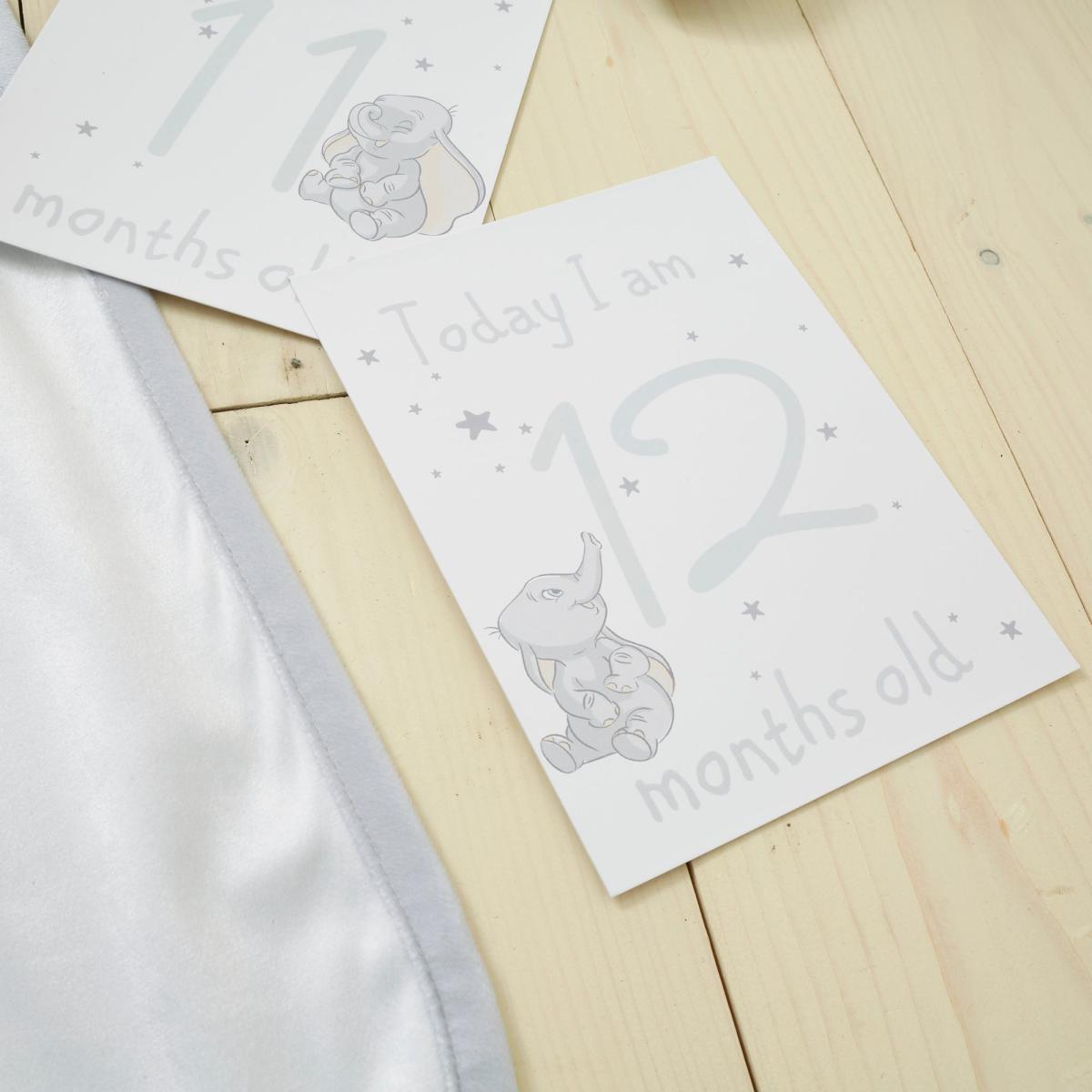 Disney Dumbo Baby Milestone Blanket White – image 5