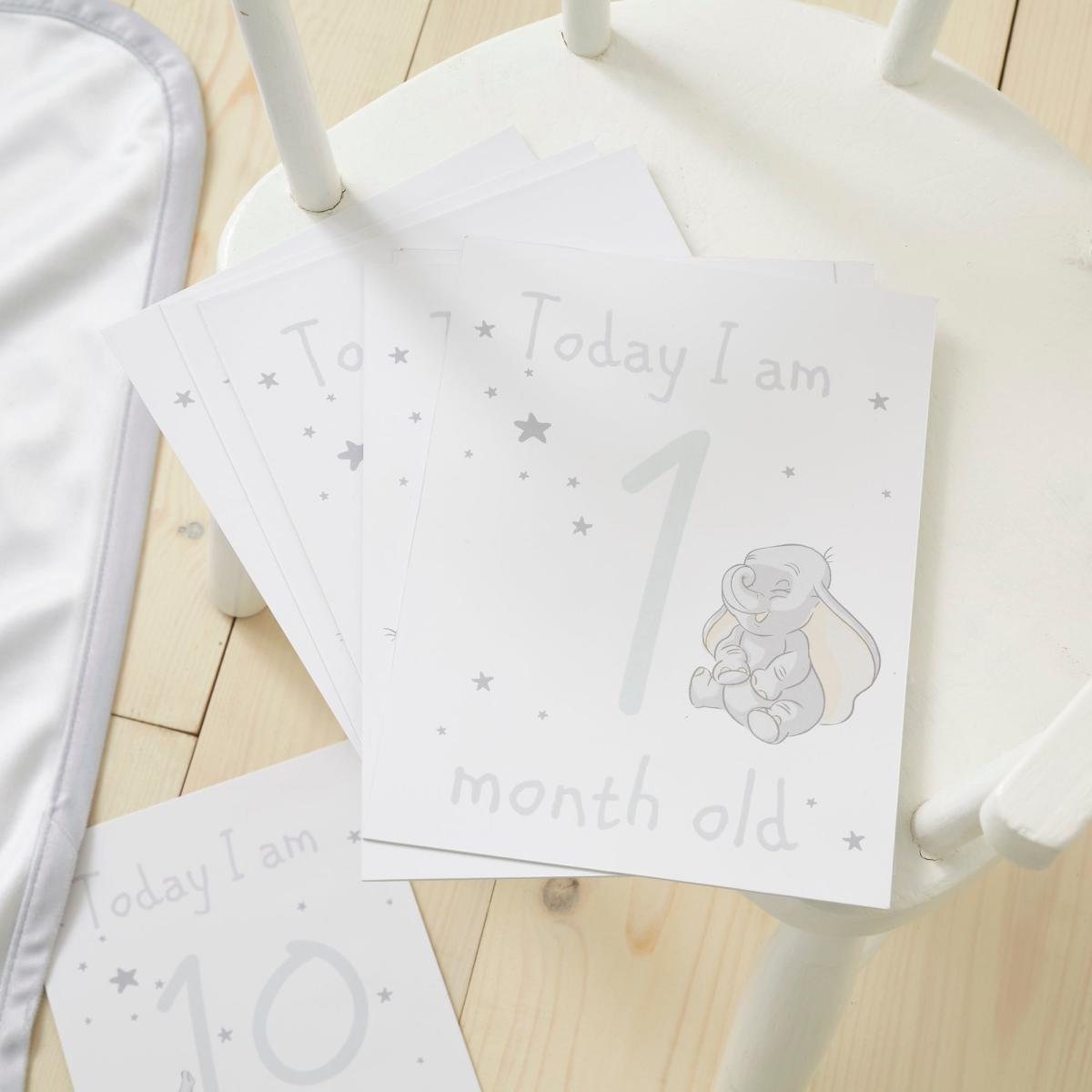 Disney Dumbo Baby Milestone Blanket White – image 6