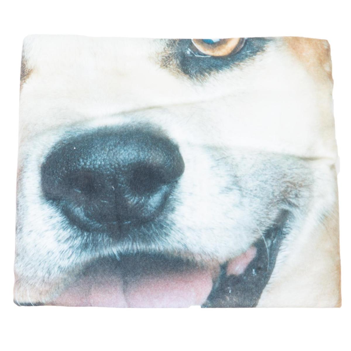 Cat & Dog Photo Throw – image 3