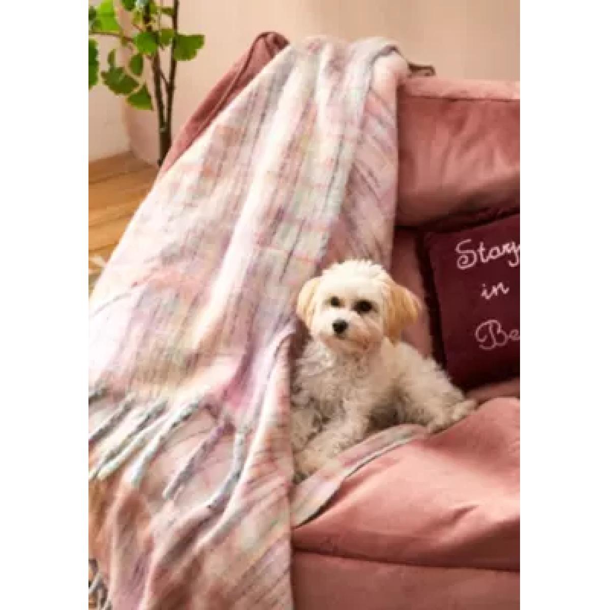 Pastel Space-Dye Knit Throw - Pink ALL at Urban Outfitters – image 6