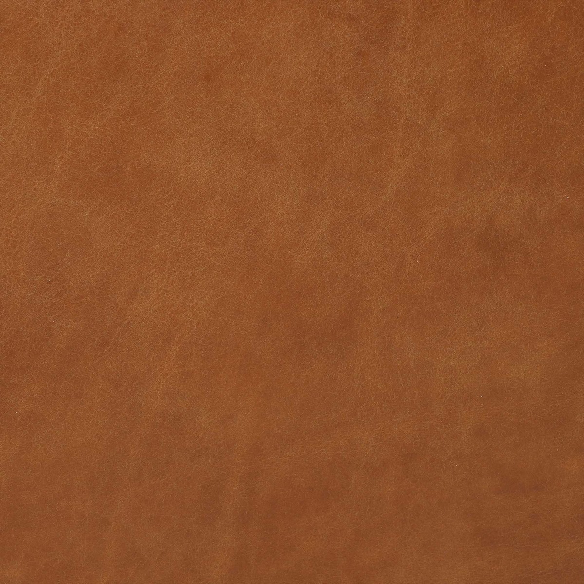 Vega Boma Chair, Tan – image 8