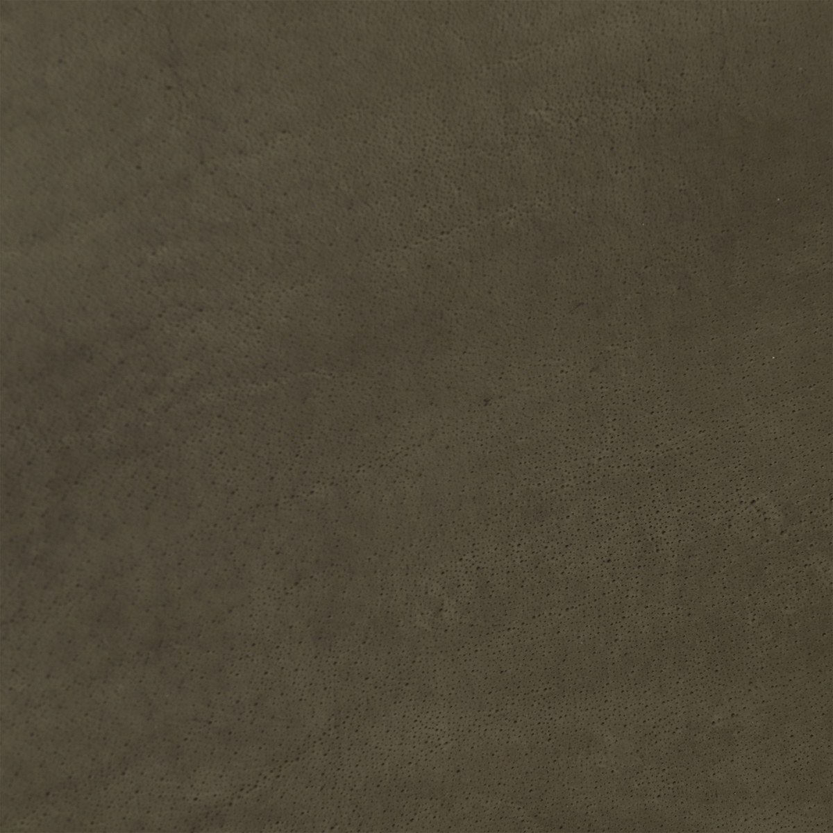 Twyford Chair With Arms, Leather – image 4