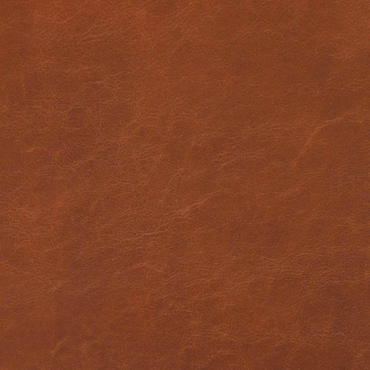 Vega Soli Dining Chair, Tan Leather – image 6