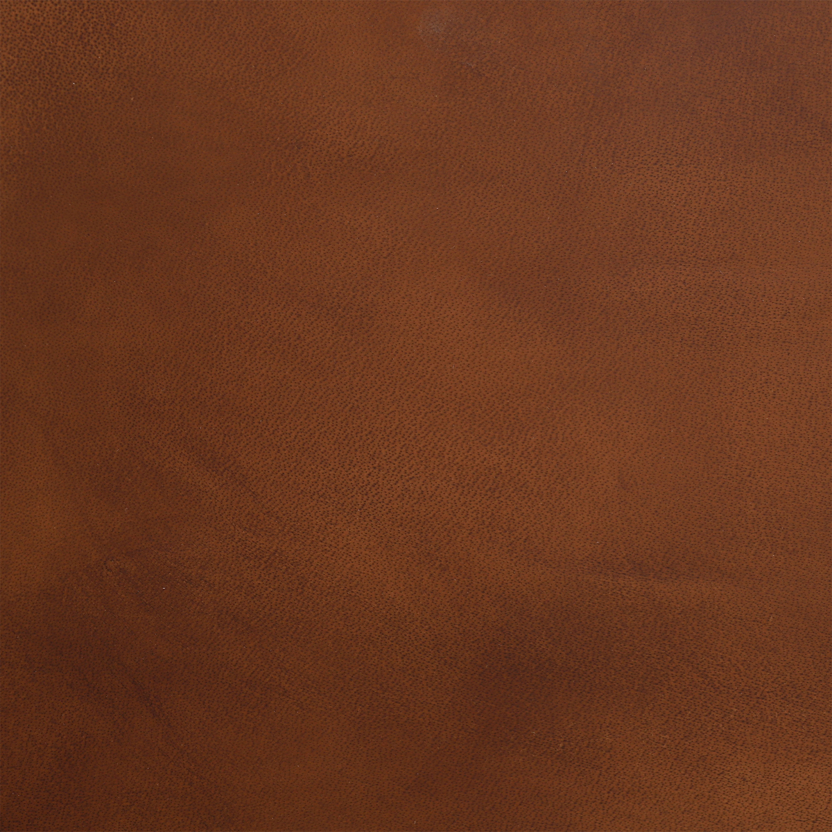 Chesil Leather Dining Chair, Light Brown Matt – image 6