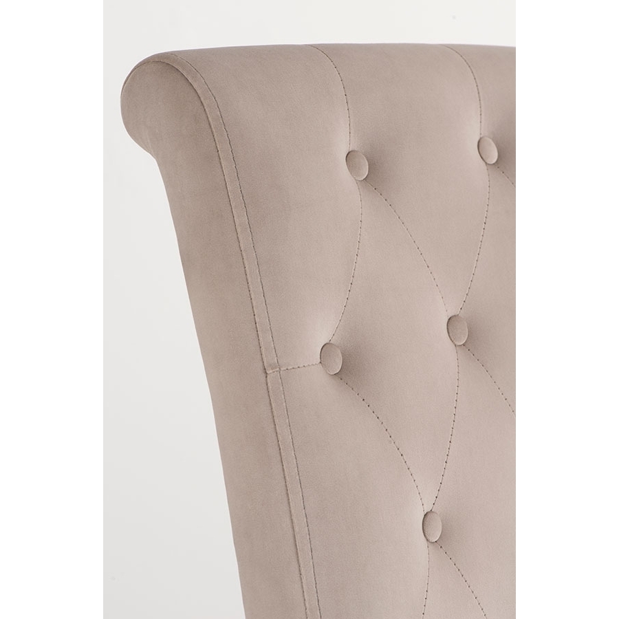 Genoa Mink Buttoned Dining Chair – image 3