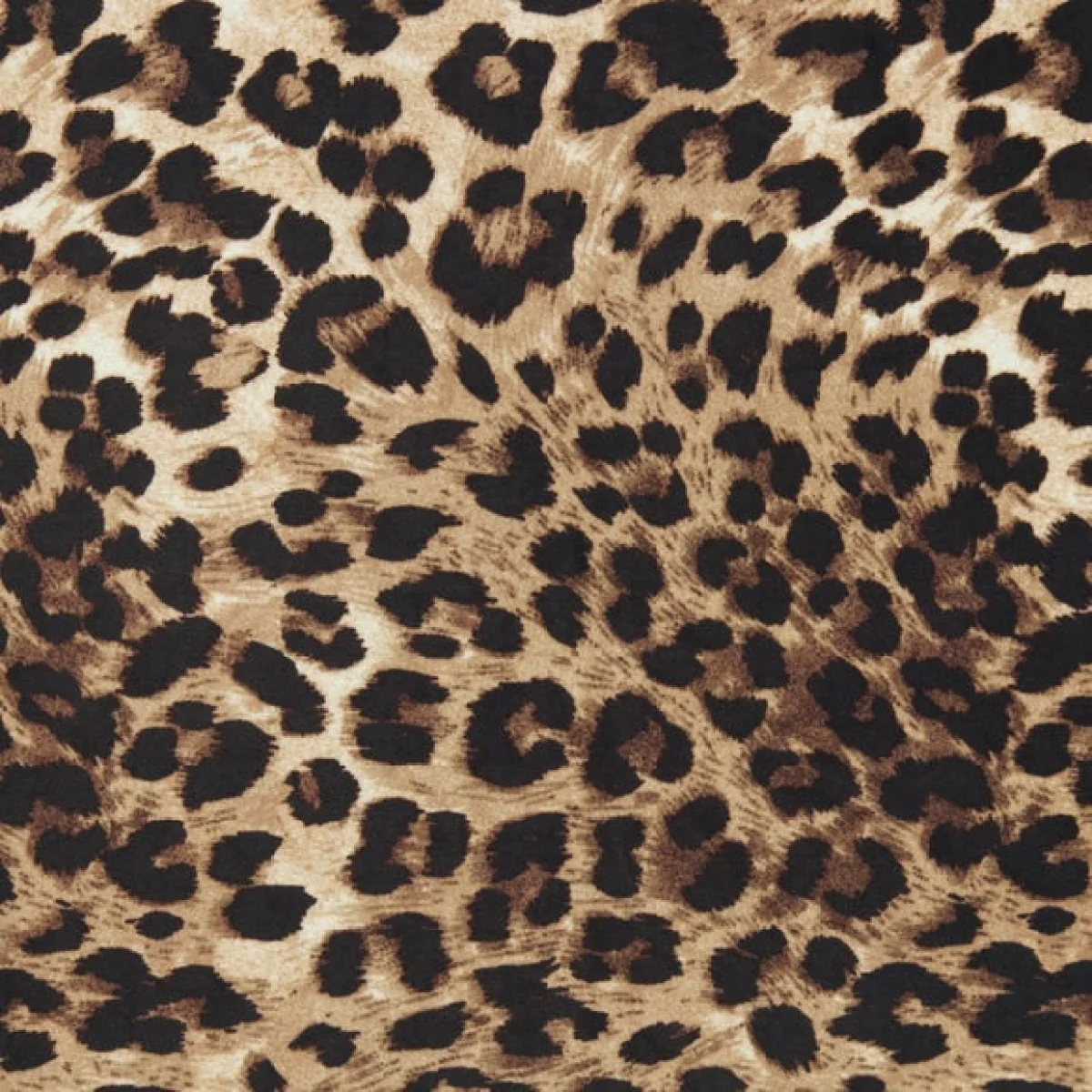 Vivian Leopard Print Velvet Cocktail Chair – image 6