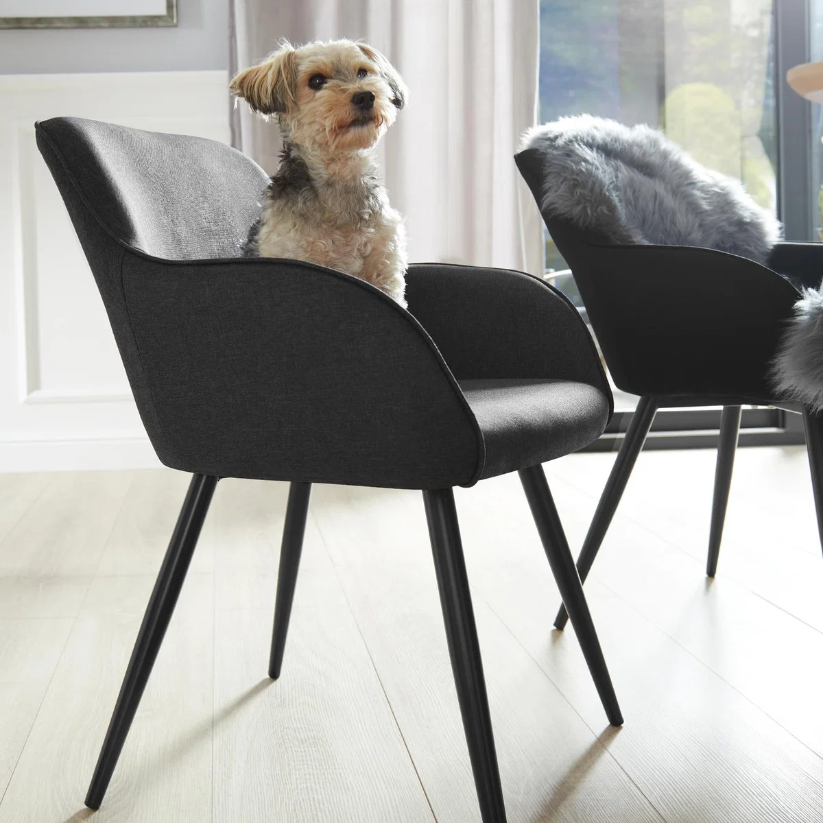 Accent Chair Marilyn With Armrests - Dark Grey/Black