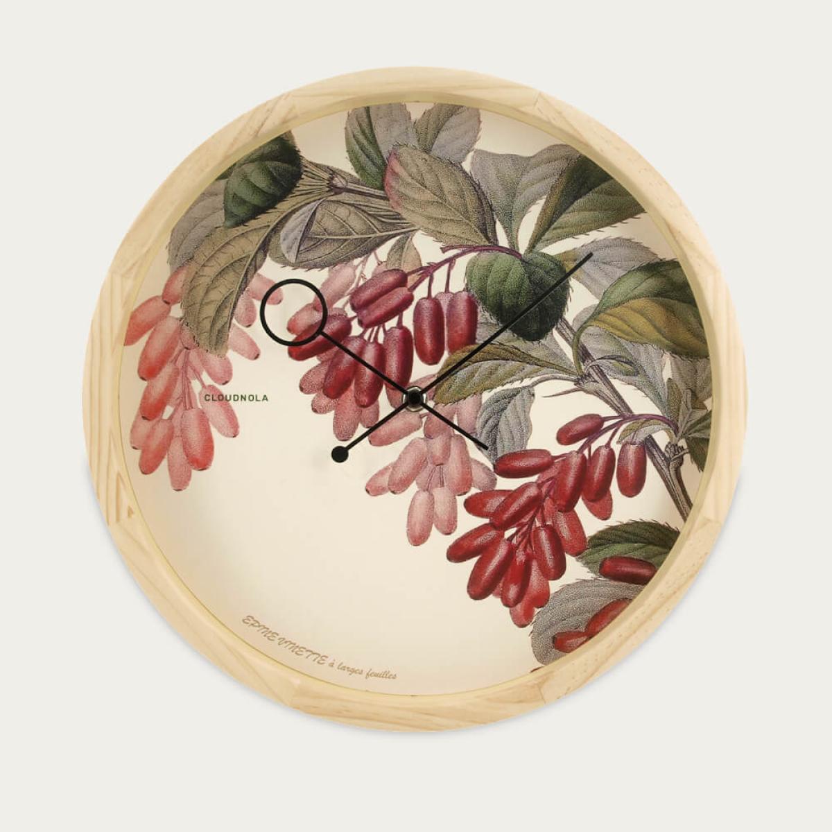 Botanical Epine Vinette – image 1