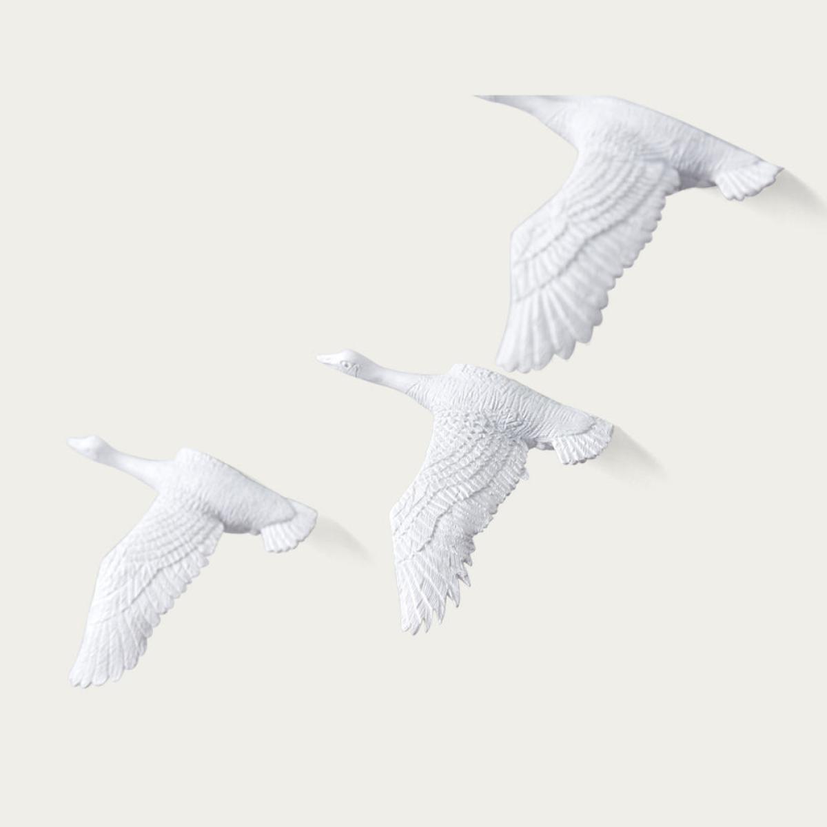 Migrantbird Clock in O Formation – image 3