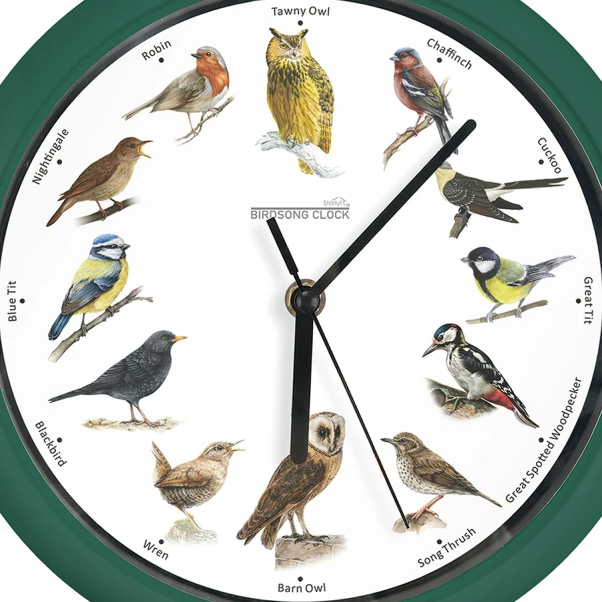JML - Bird Song Clock - Green