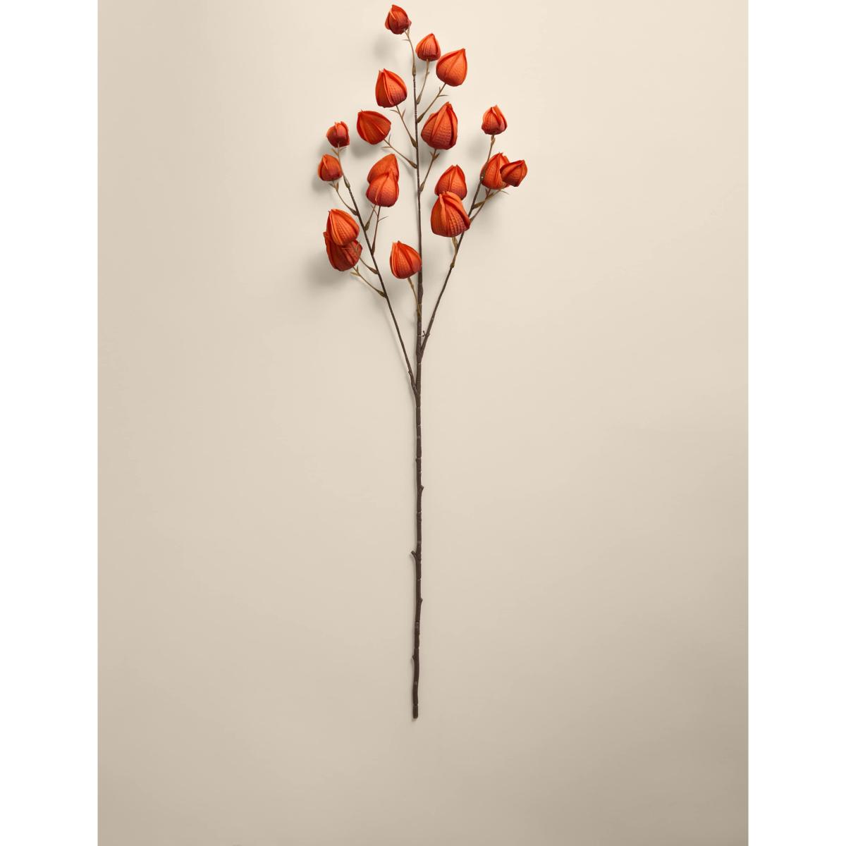 Moss & Sweetpea 2 Pack Artificial Chinese Lantern Single Stems - Orange, Orange – image 2