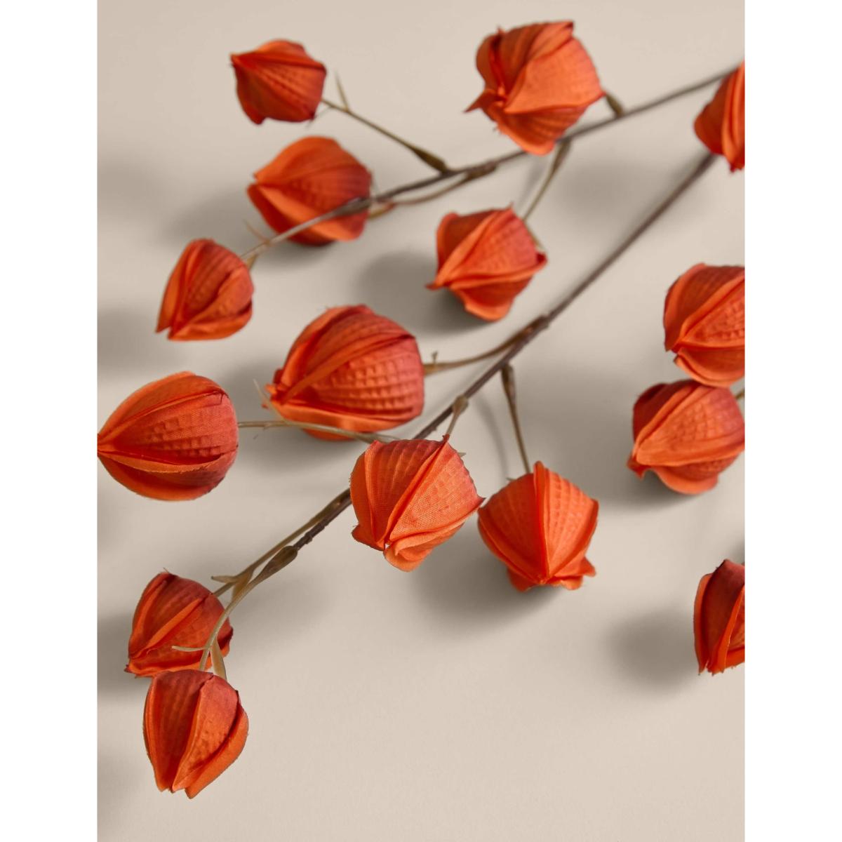 Moss & Sweetpea 2 Pack Artificial Chinese Lantern Single Stems - Orange, Orange – image 3