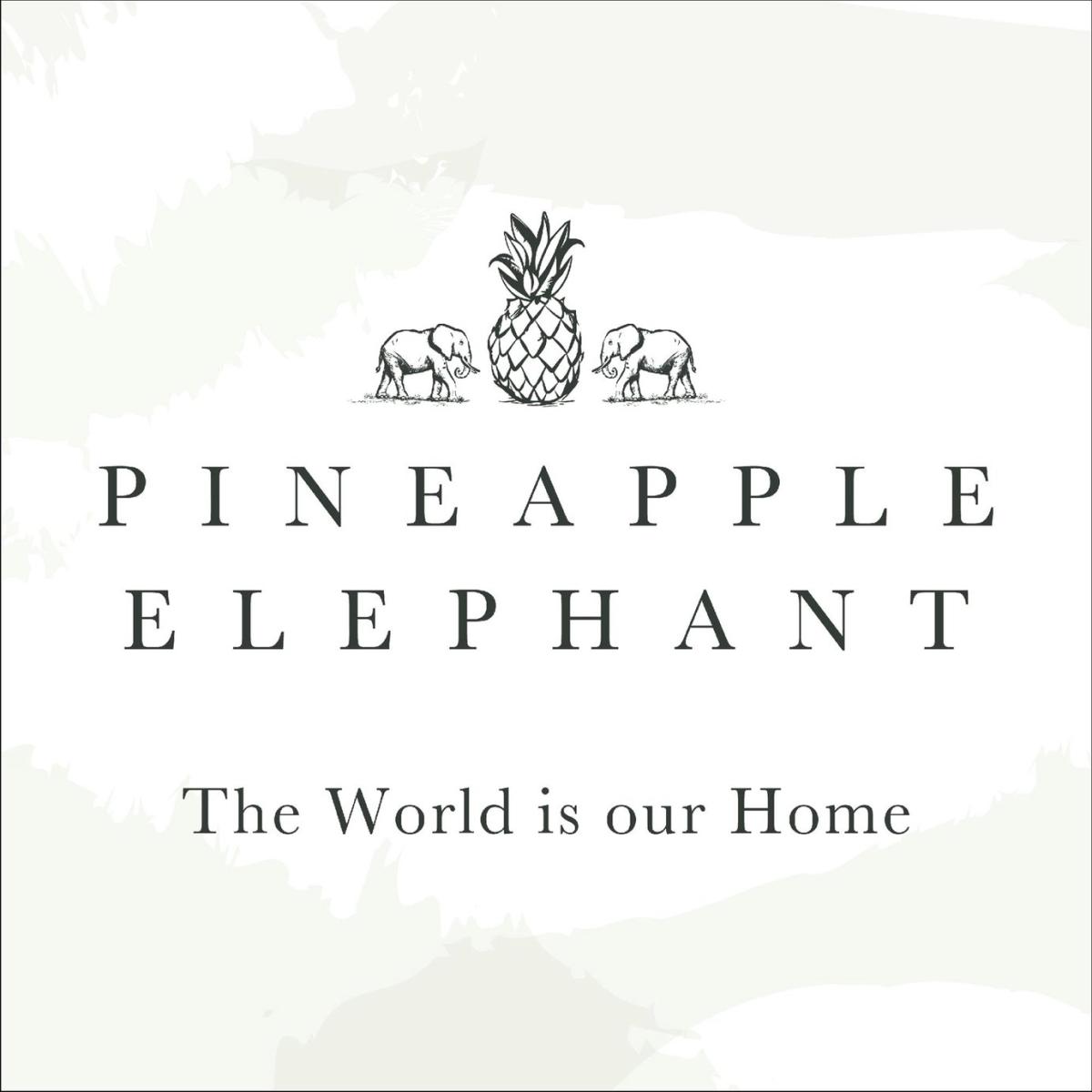 Pineapple Elephant Cotton Animals Teal Bedding Set - King – image 6