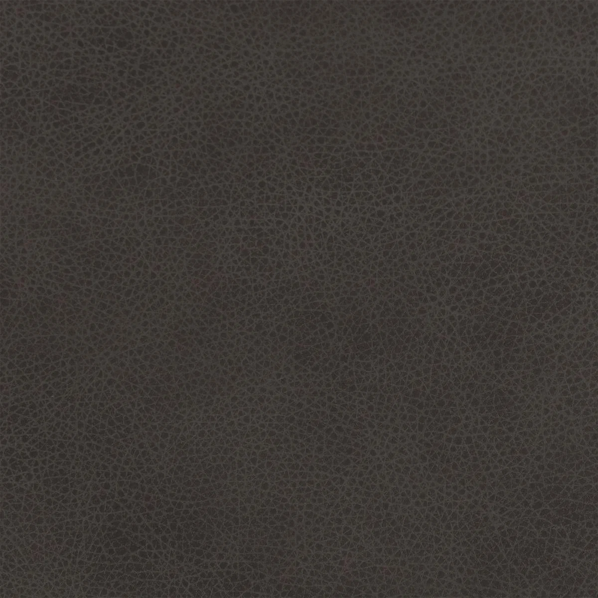 Clark 2 Seater Leather Sofa | Barker & Stonehouse – image 6