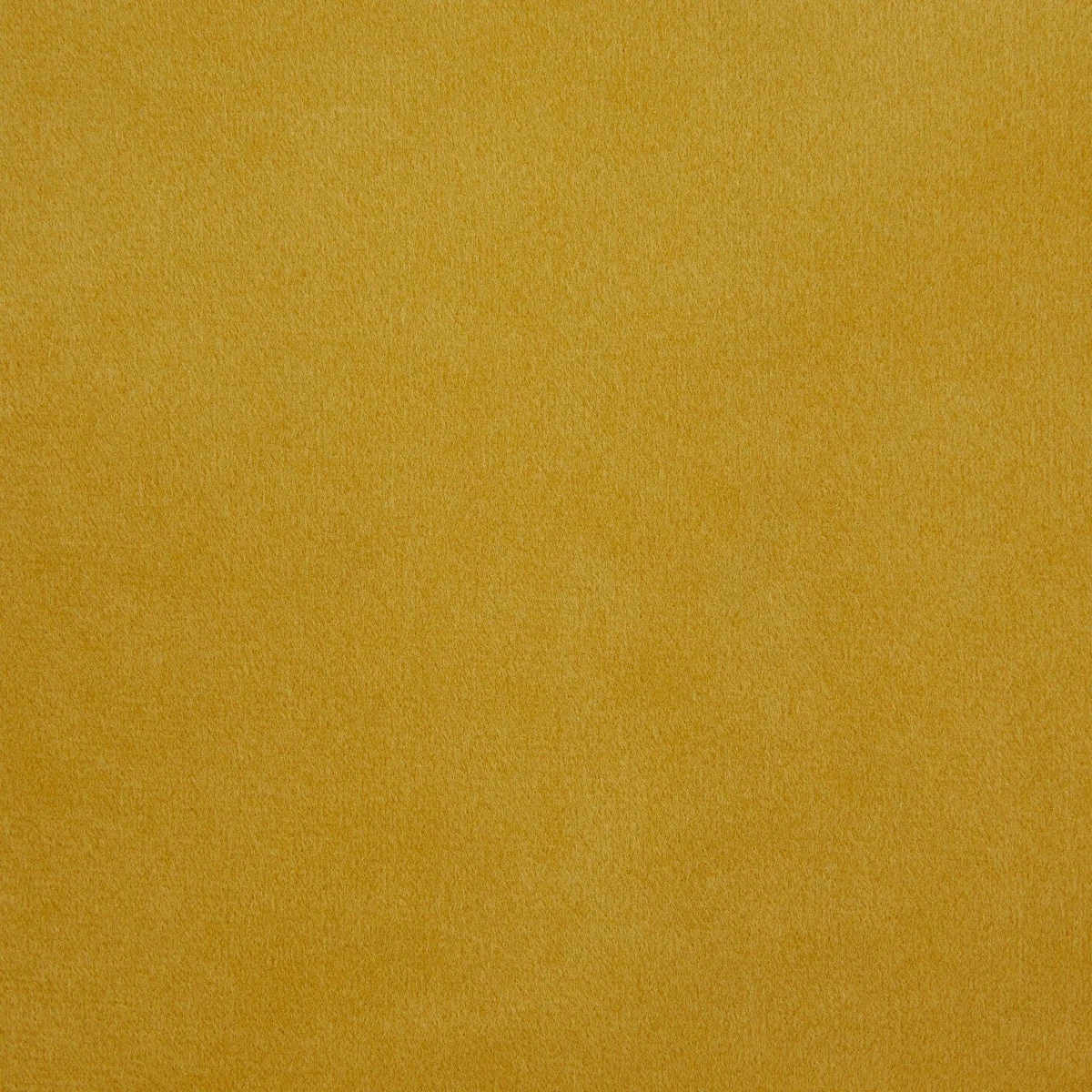 Zoe Velvet 2 Seater Sofa Honey (Yellow) – image 8