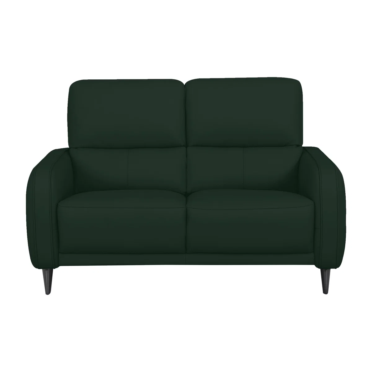 Domicil - Logan 2 Seater Leather Sofa - NP Dark Forest – image 1