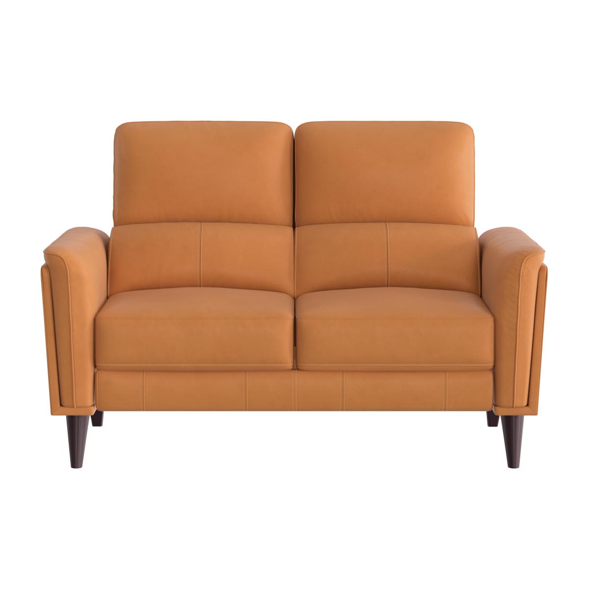 Compact Collection Klein 2 Seater BV Leather Sofa - BV Honey Yellow – image 1