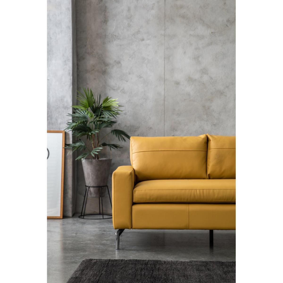 Olivia's Newbury 2 Seater Sofa / Sabino Jet – image 6