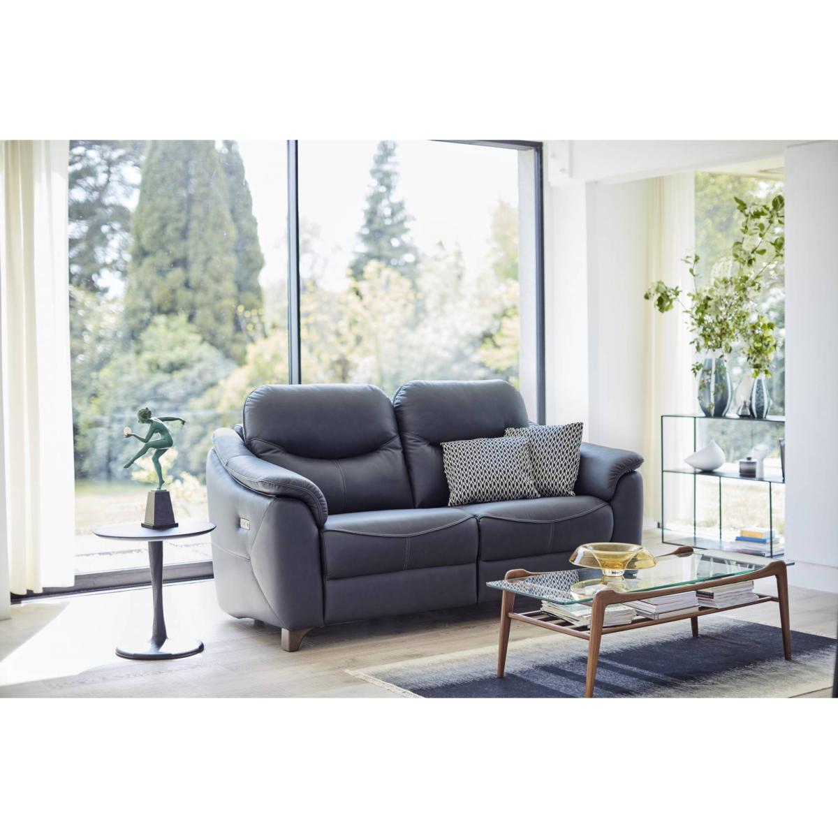 G Plan Jackson Leather 2 Seat Static Sofa – image 3