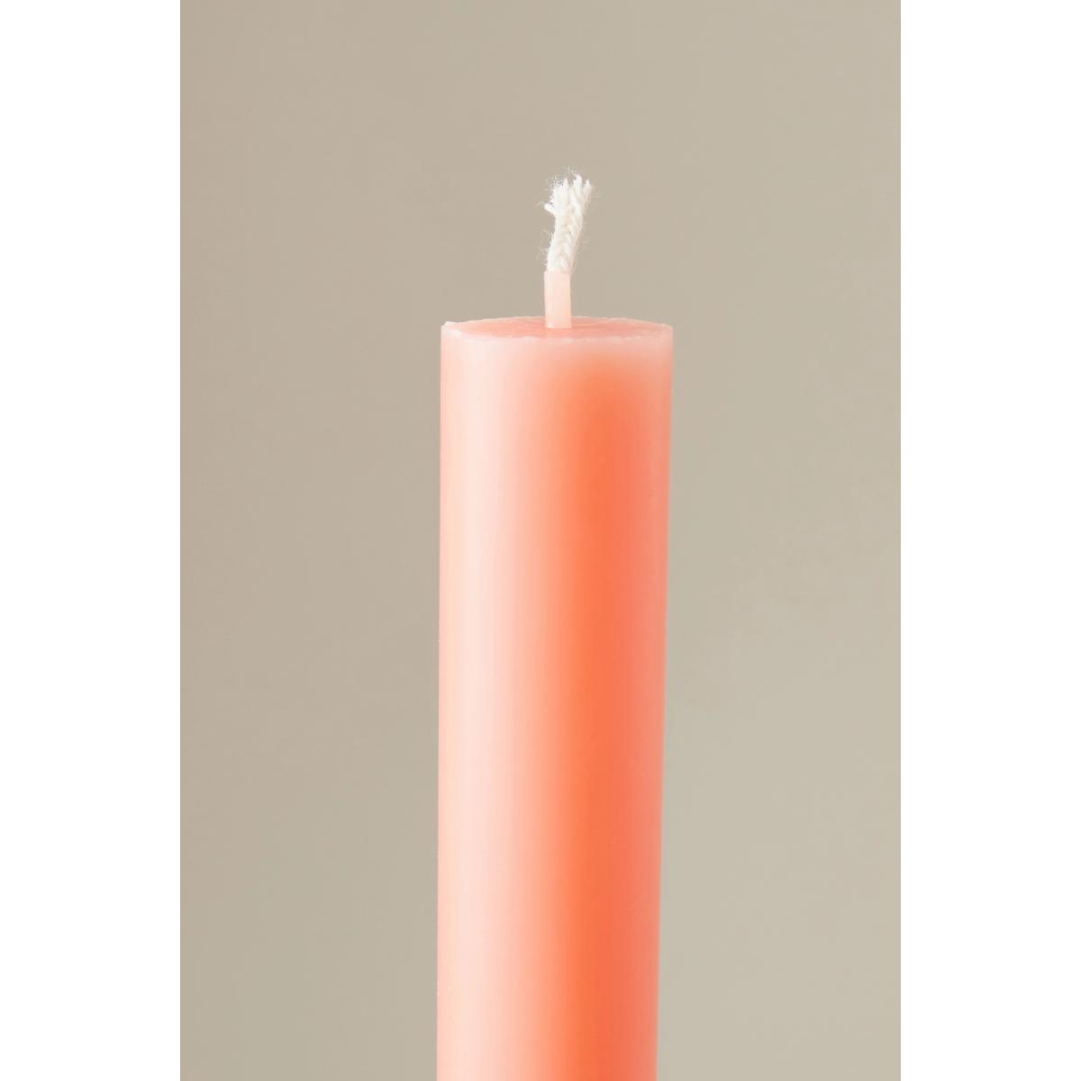 True Grace Forest Finds Dining Taper Candles, Set of 12 – image 3