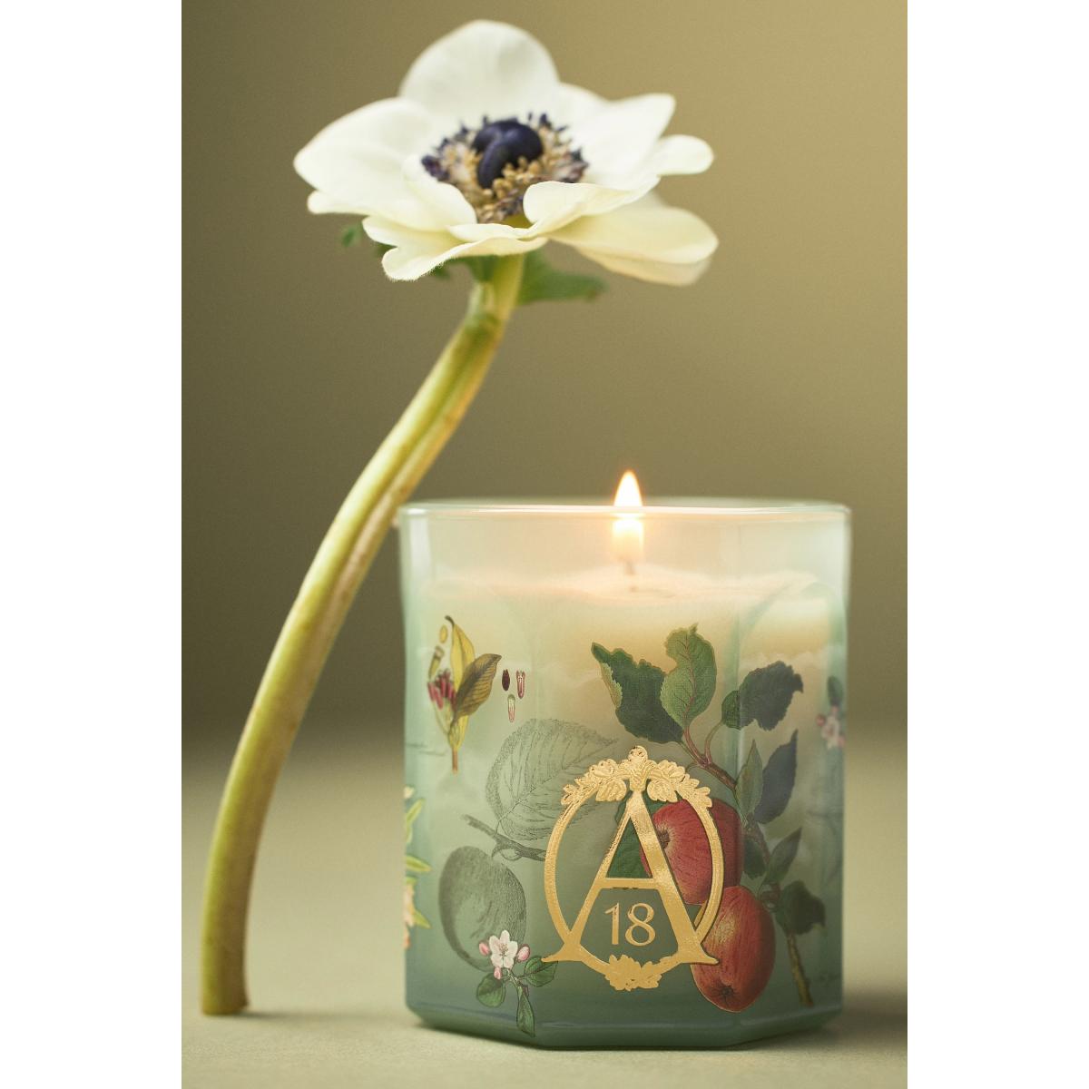 Apothecary 18 Spice Orchard Woods Boxed Glass Candle – image 2