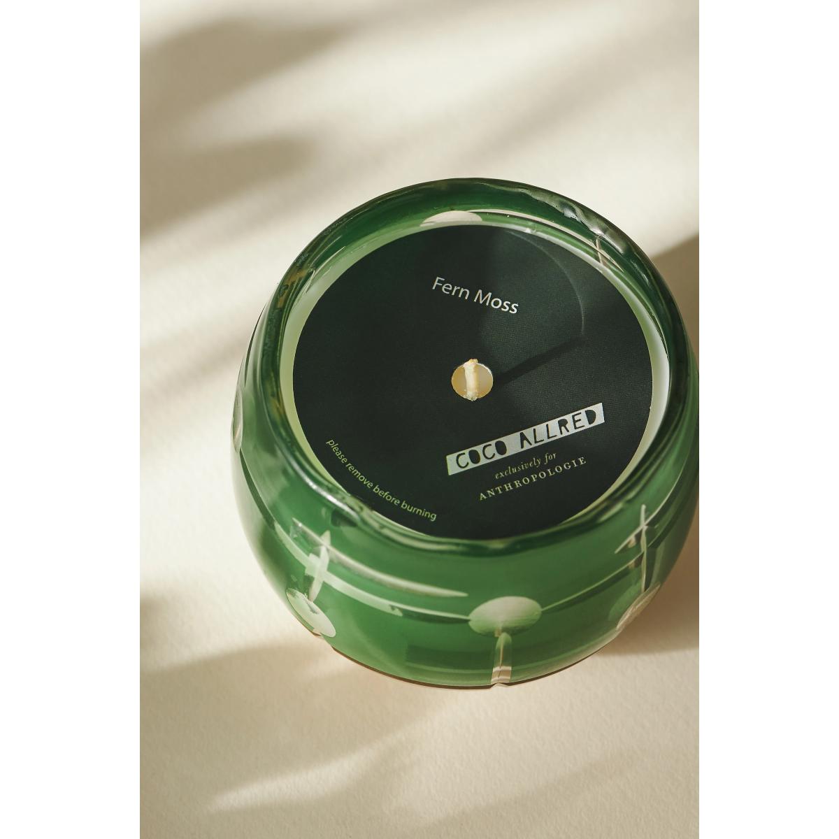 Coco Allred for Anthropologie Fresh Fern Moss Glass Candle – image 3
