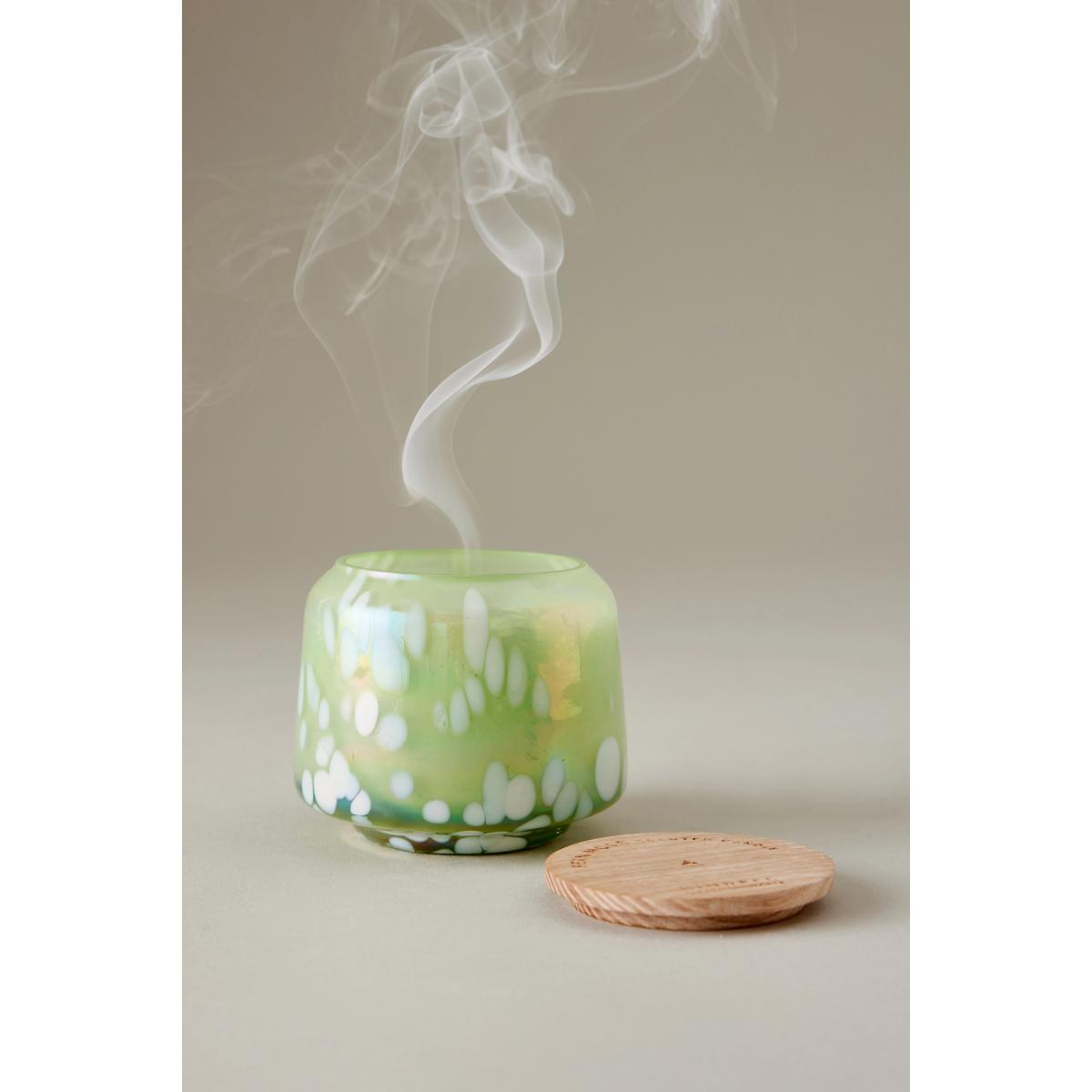 By Anthropologie Fresh Fern Moss Glass Jar Candle – image 2