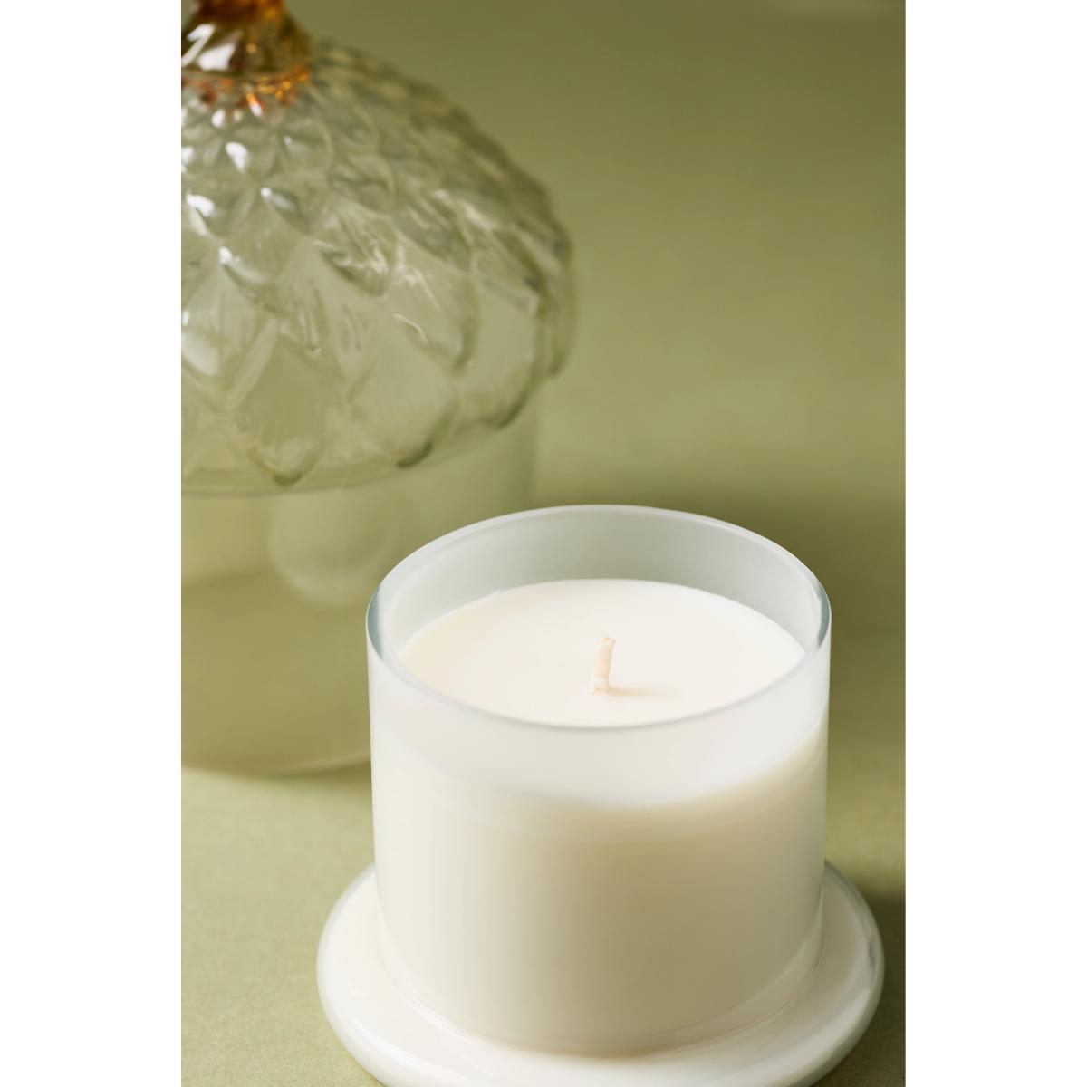 Acorn Woody Leather & Leaves Glass Cloche Candle – image 3