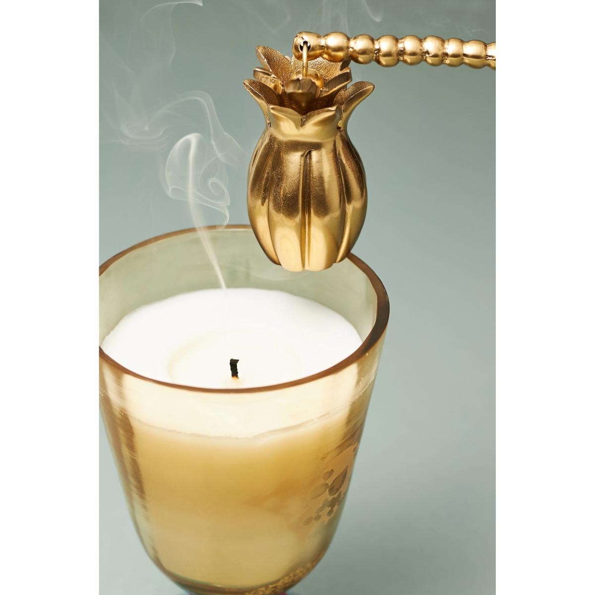 Cara Pineapple Candle Snuffer – image 2