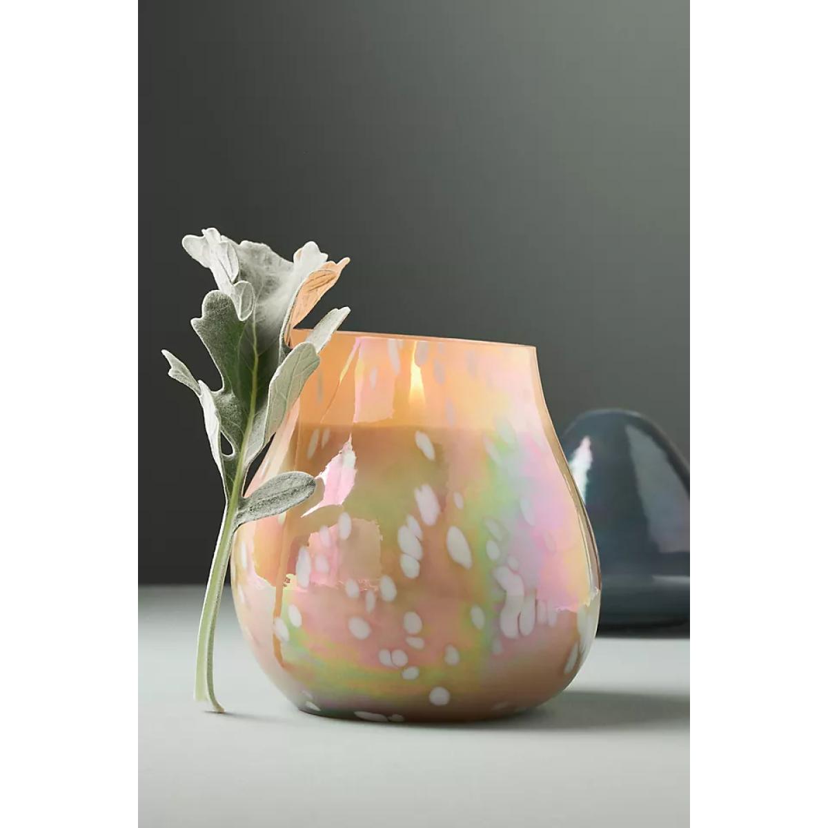 Mushroom Fruity Vanilla & Dark Plum Glass Candle – image 2