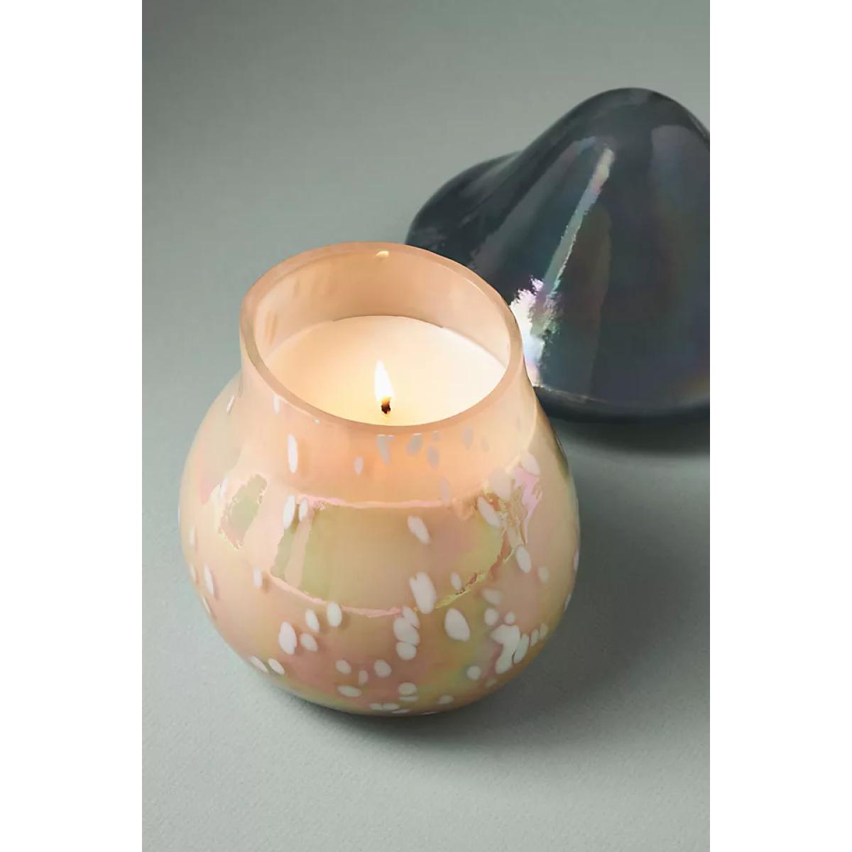 Mushroom Fruity Vanilla & Dark Plum Glass Candle – image 4