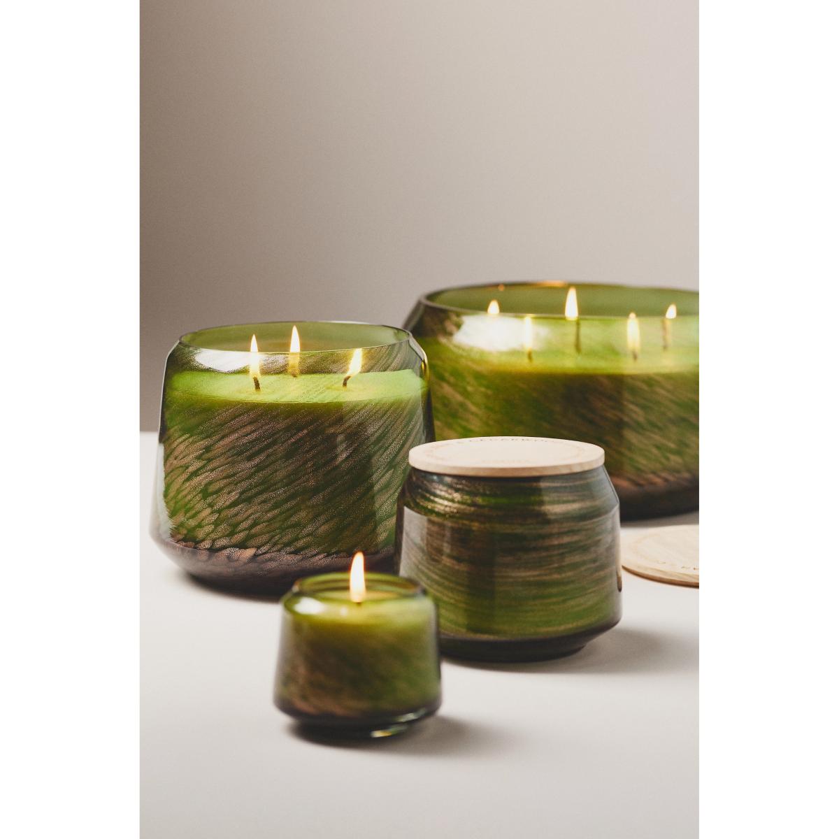 The Gather Candle by Anthropologie: Woody Fresh Balsam & Cedarwood – image 8