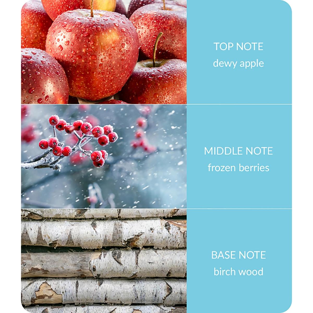 Heart and Home Winter Berry Frost Scene Candle White – image 2