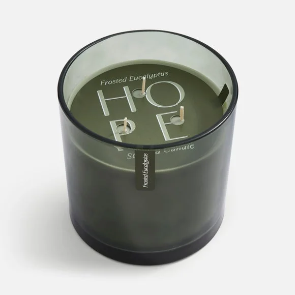 Christmas Hope Frosted Eucalyptus XL Multi Wick Candle – image 3