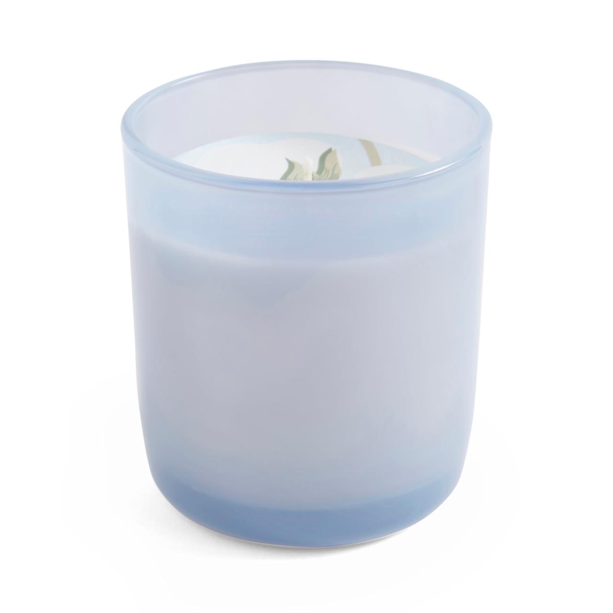 Core Plus Cotton and Blossom Single Wick Candle Blue – image 3