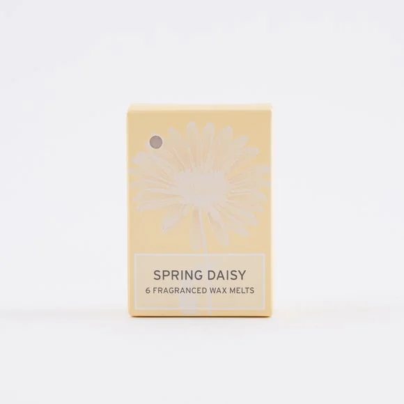 Set of 6 Springtime Daisy Waxmelts – image 4