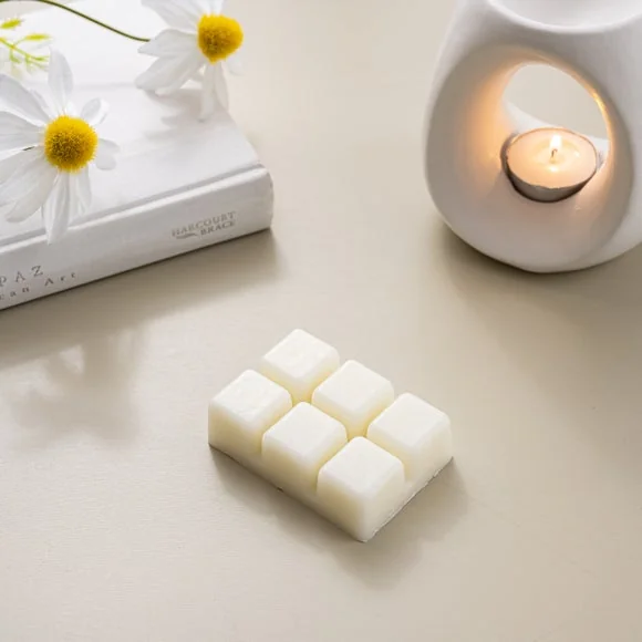 Set of 6 Springtime Daisy Waxmelts – image 1