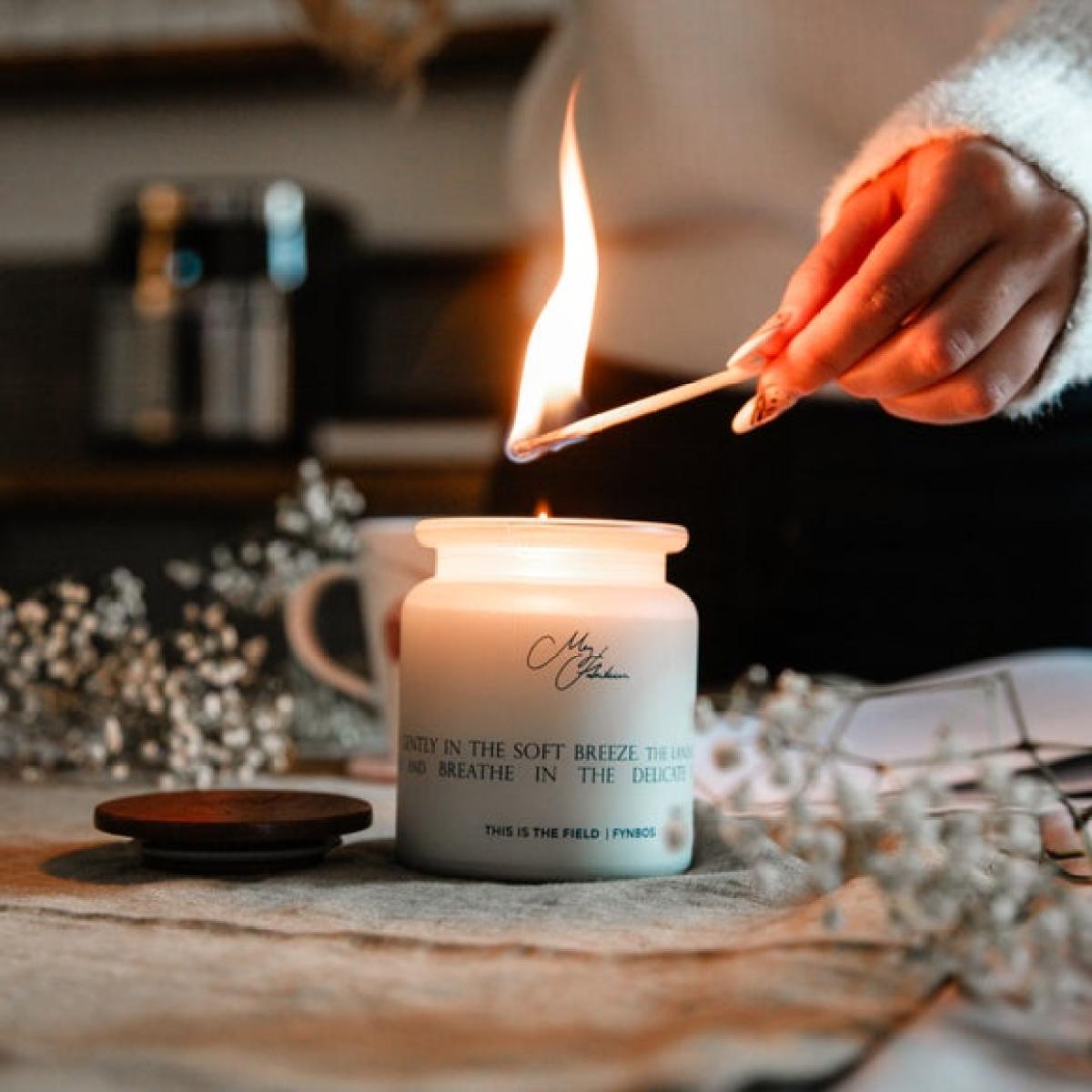 Meg Hawkins The Field Fieldmouse Soy Candle – image 3