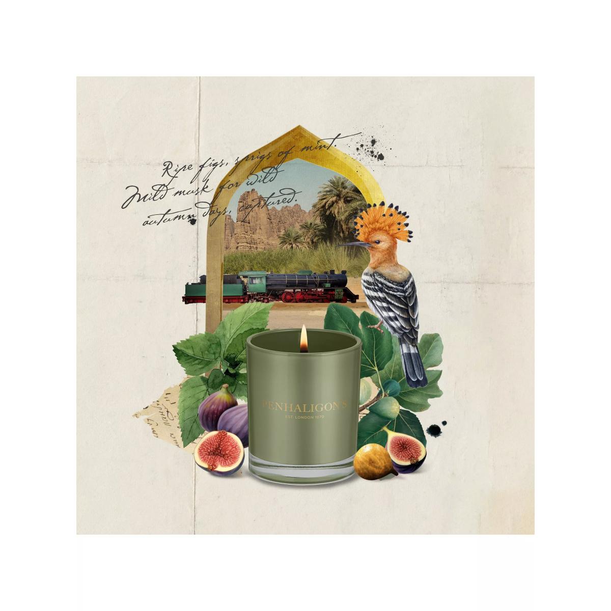 Penhaligon's Tabuk Harvest Scented Candle, 200g – image 4