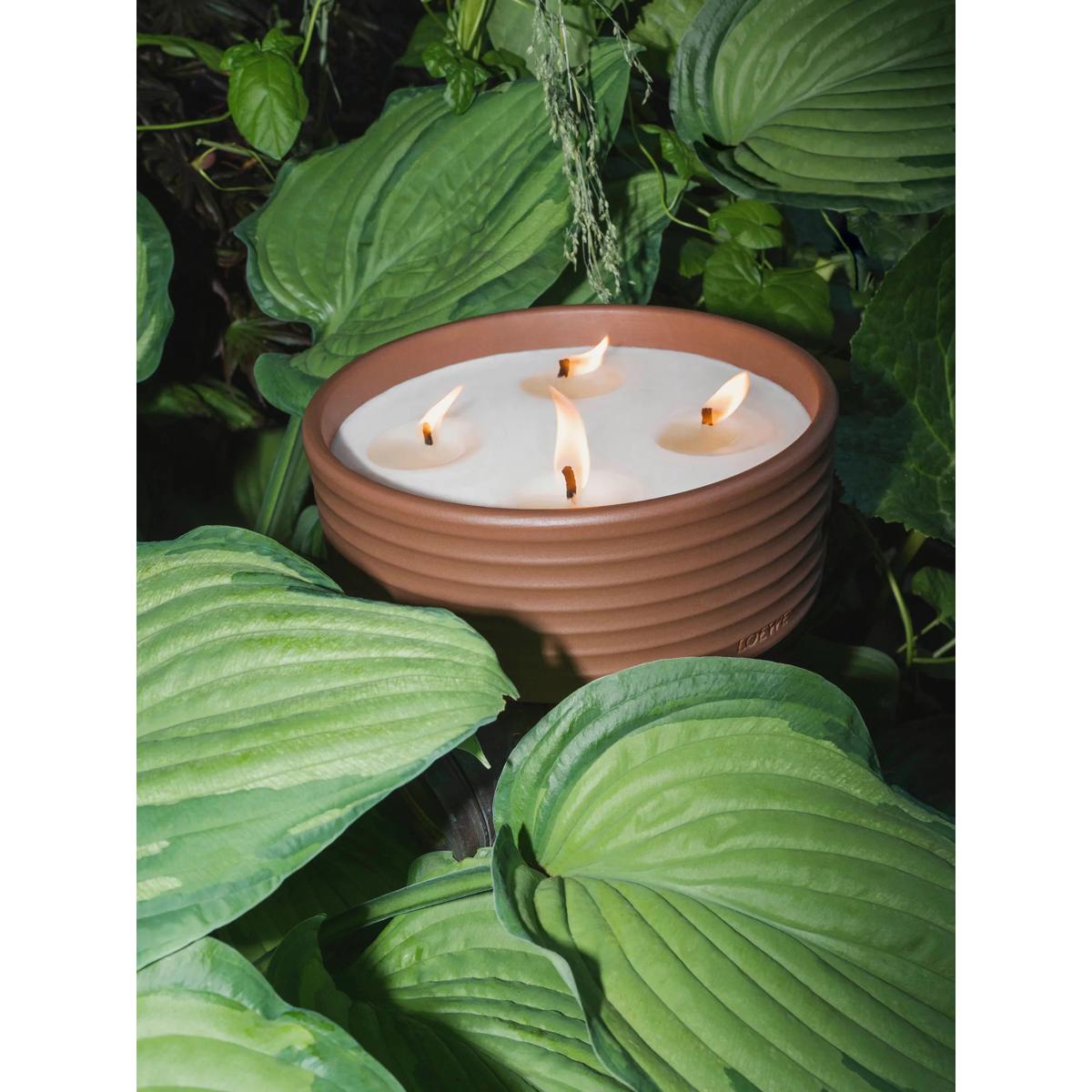 LOEWE Thyme Outdoor Candle, 750g – image 4