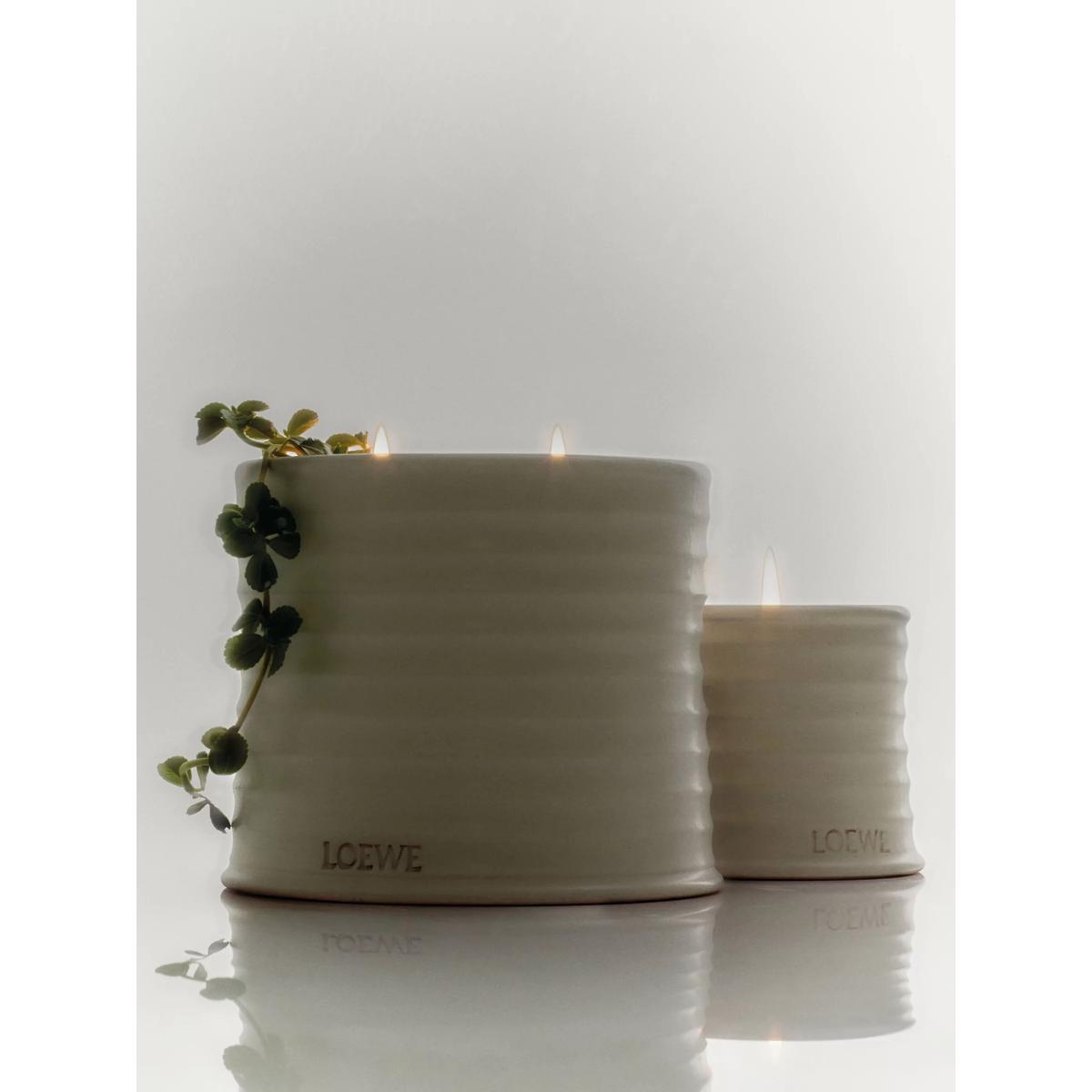 LOEWE Oregano Small Scented Candle, 170g – image 5